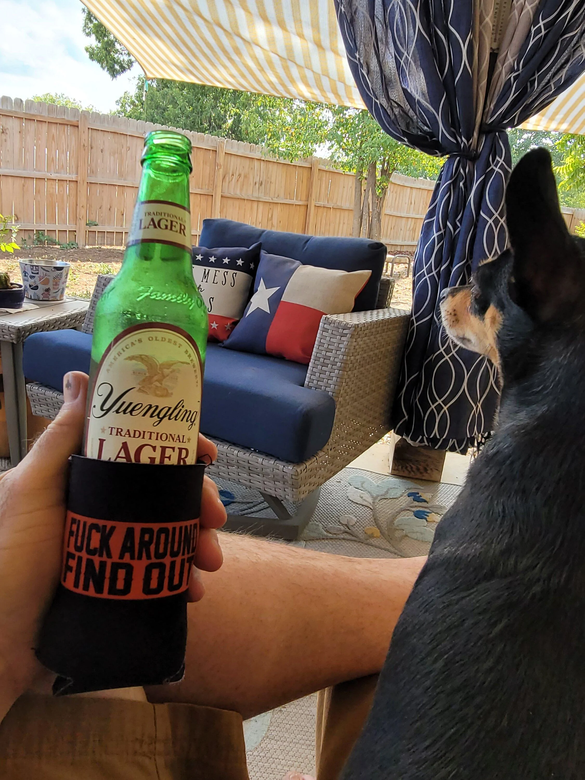 Ford Maverick Post Your Pet Pics: Dog, Cat or Whatever+ Pet Memes 20230912_164628