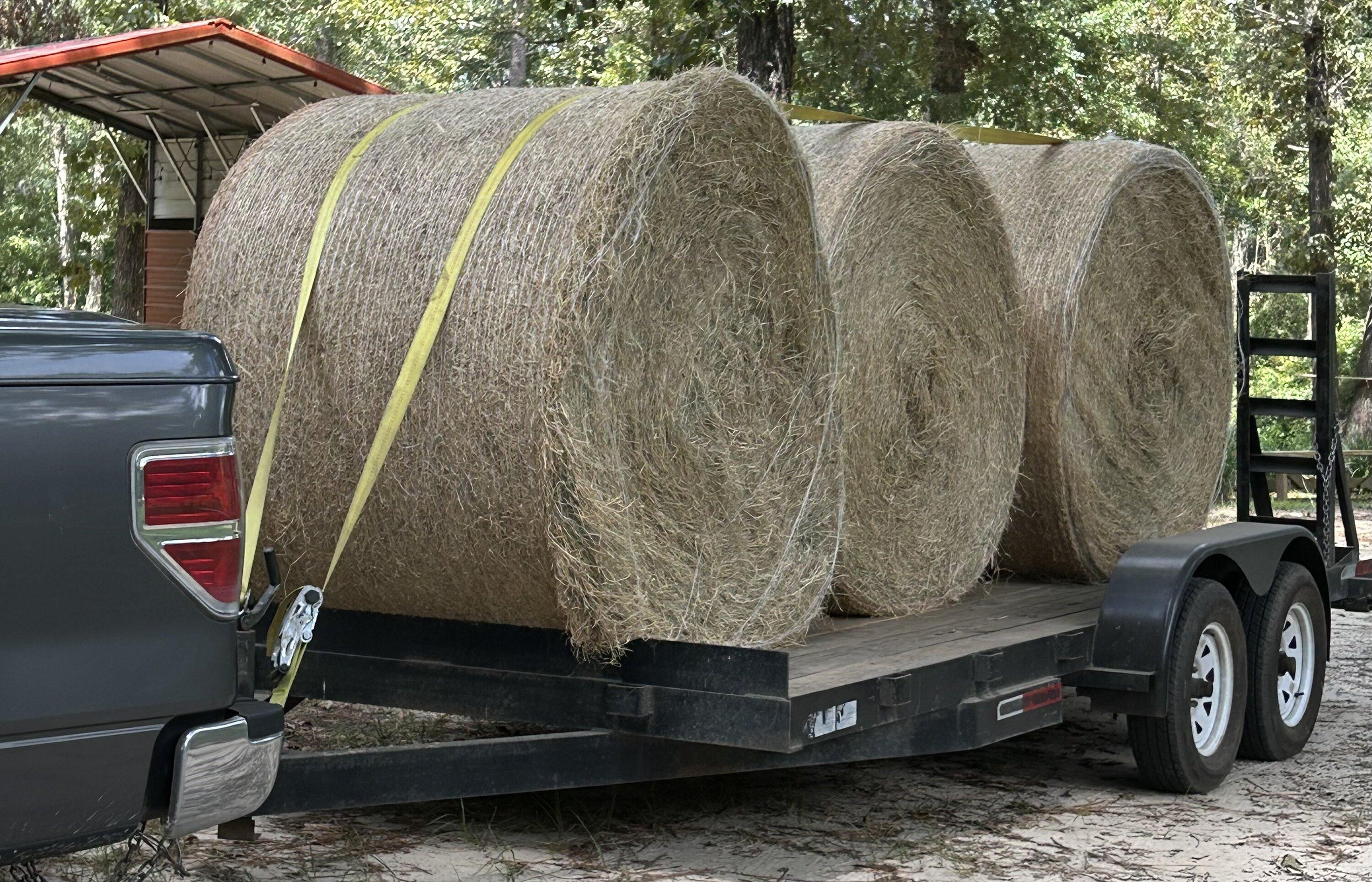 Ford Maverick Maverick hauling round hay bales IMG_1385