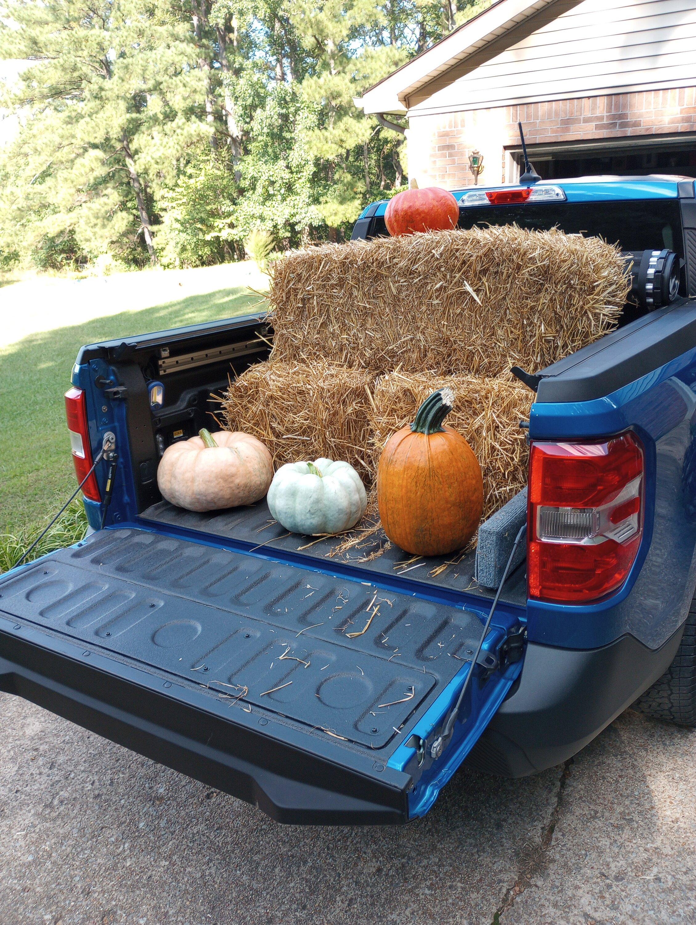 Ford Maverick Tailgate Hole IMG_20230918_160806350