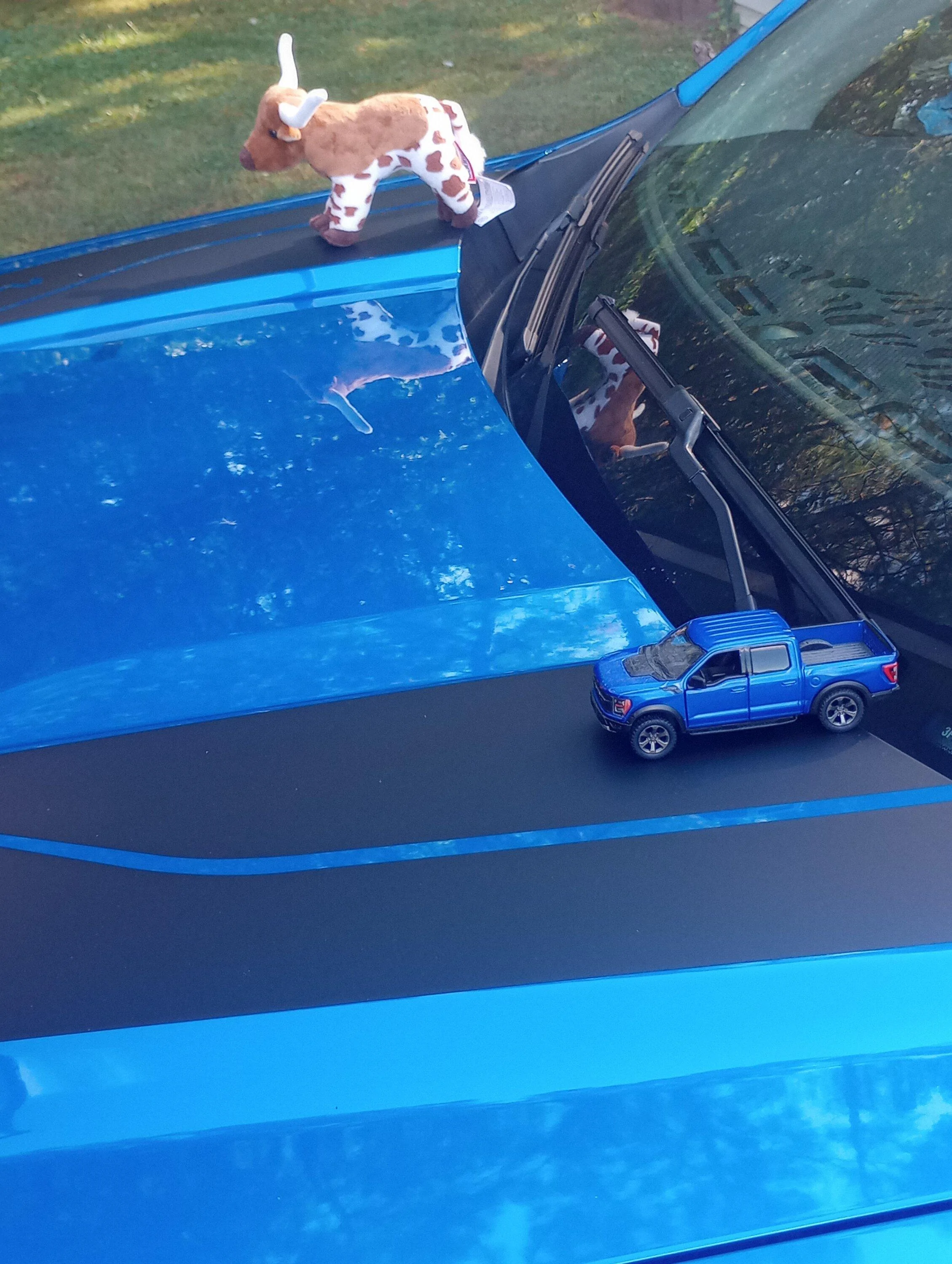 Ford Maverick Post your Maverick next to ridiculously large trucks - photos thread IMG_20230930_151508661
