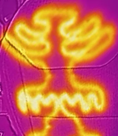 Ford Maverick Thermal camera view of my Maverick's heated seats & steering wheel Screenshot_20231002-234835~4