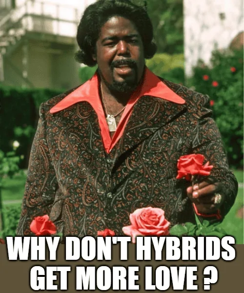 Ford Maverick Maverick Memes -  fun diversion while we wait [ ** NO POLITICS ** ] download - 2023-10-06T081038.826