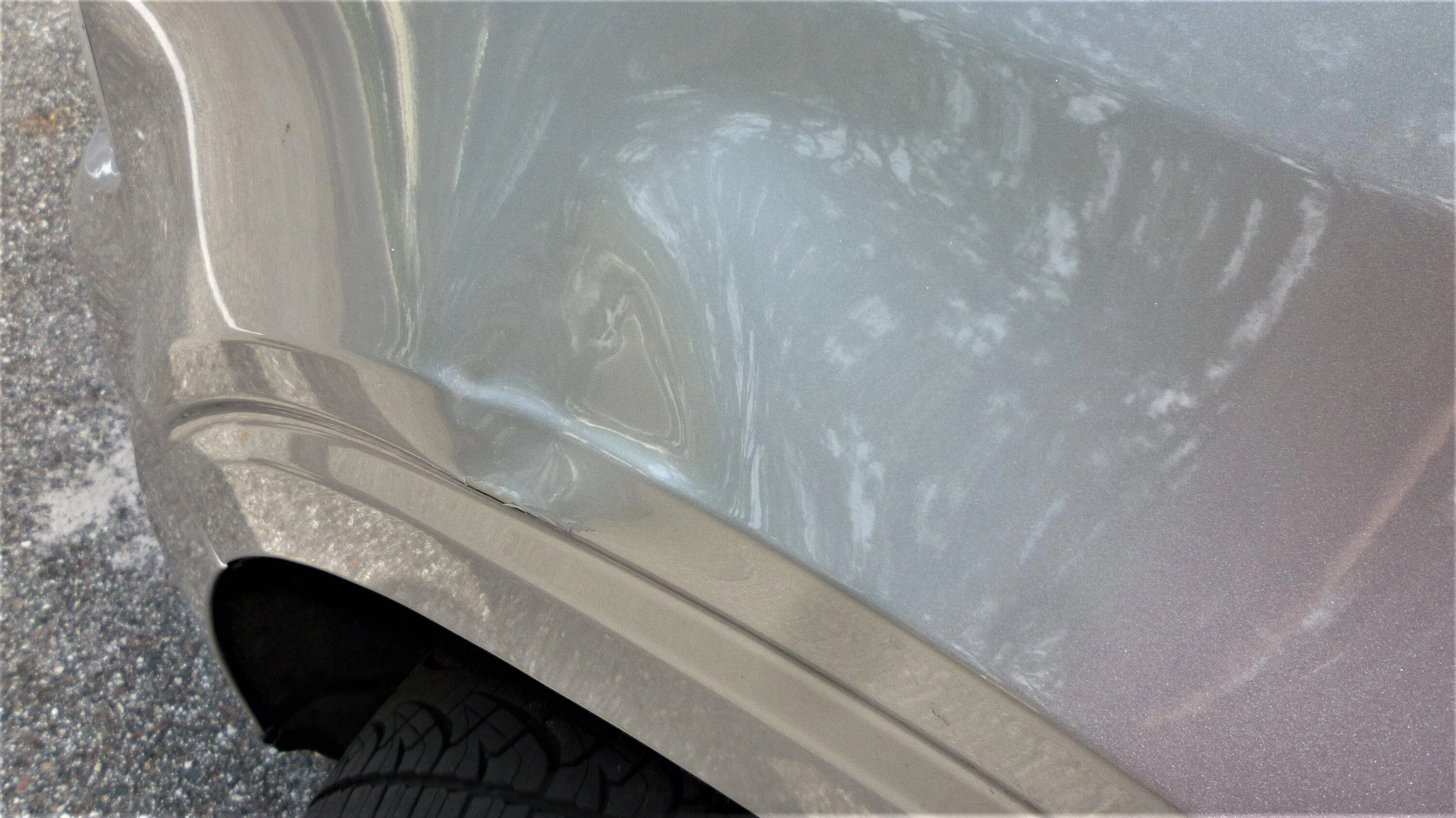 Front fender 2.webp