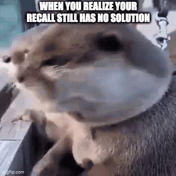 Ford Maverick Maverick Memes -  fun diversion while we wait [ ** NO POLITICS ** ] 83j1h7