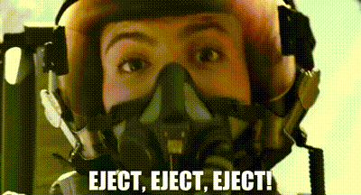 Ford Maverick Bird strike!! IMG_2183