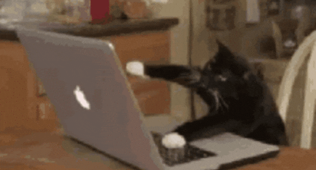 Ford Maverick New Vehicle Tracking - How it Feels cat-computer