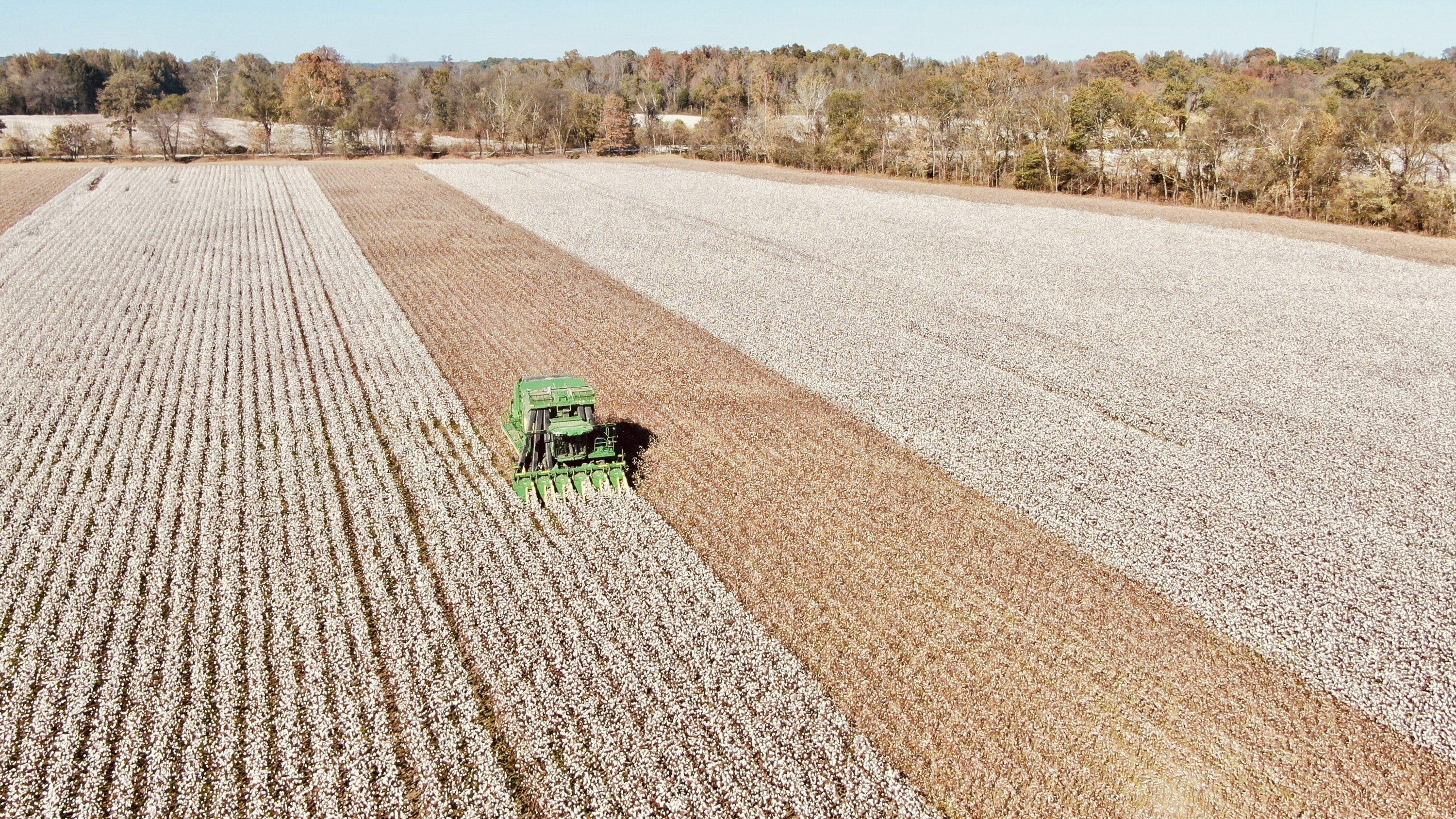 Ford Maverick Drone Pics of Mav in Cotton Field DJI_0798