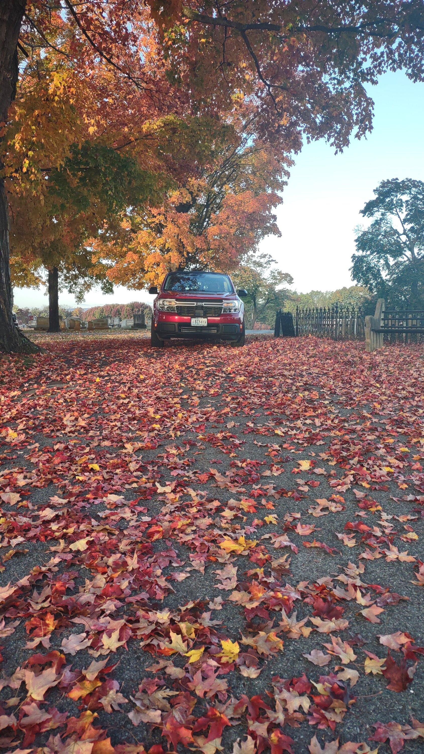 Ford Maverick Fall Pictures IMG_20231028_080857983