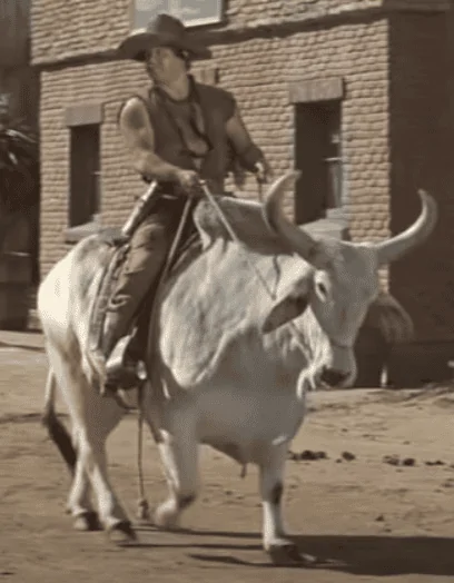 Ford Maverick The Texas Mavericks! MONGO4