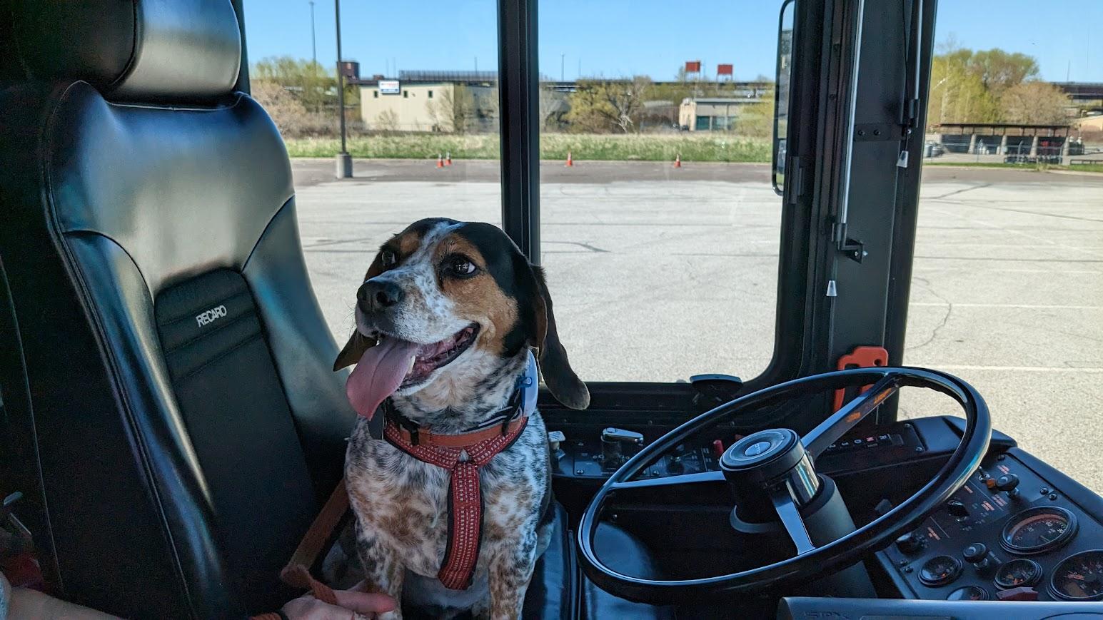 Ford Maverick Post Your Pet Pics: Dog, Cat or Whatever+ Pet Memes PXL_20230520_151158568.MP