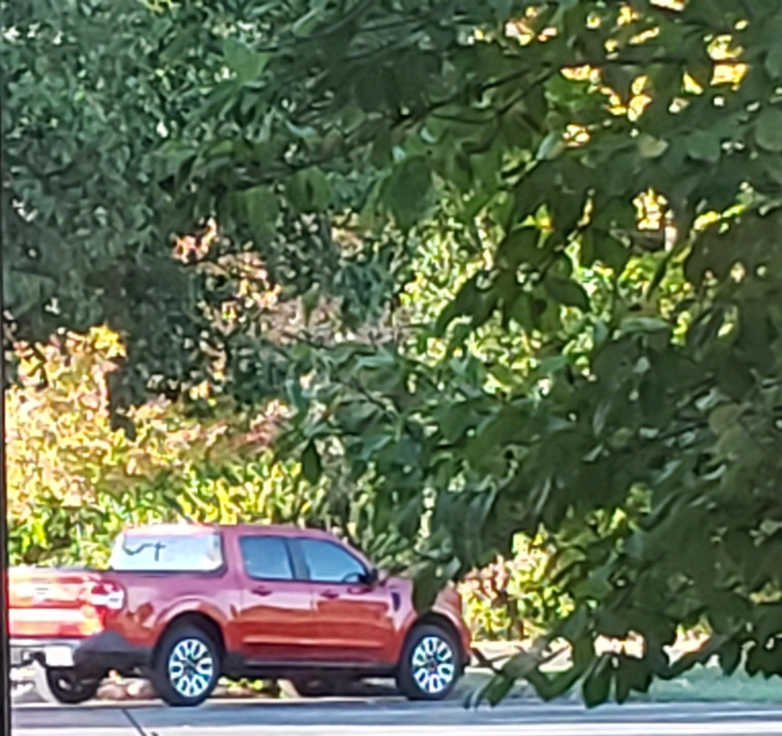 Ford Maverick 11/8/23 - 1 mo at home with my Mav after 620 day wait 20231013_175245