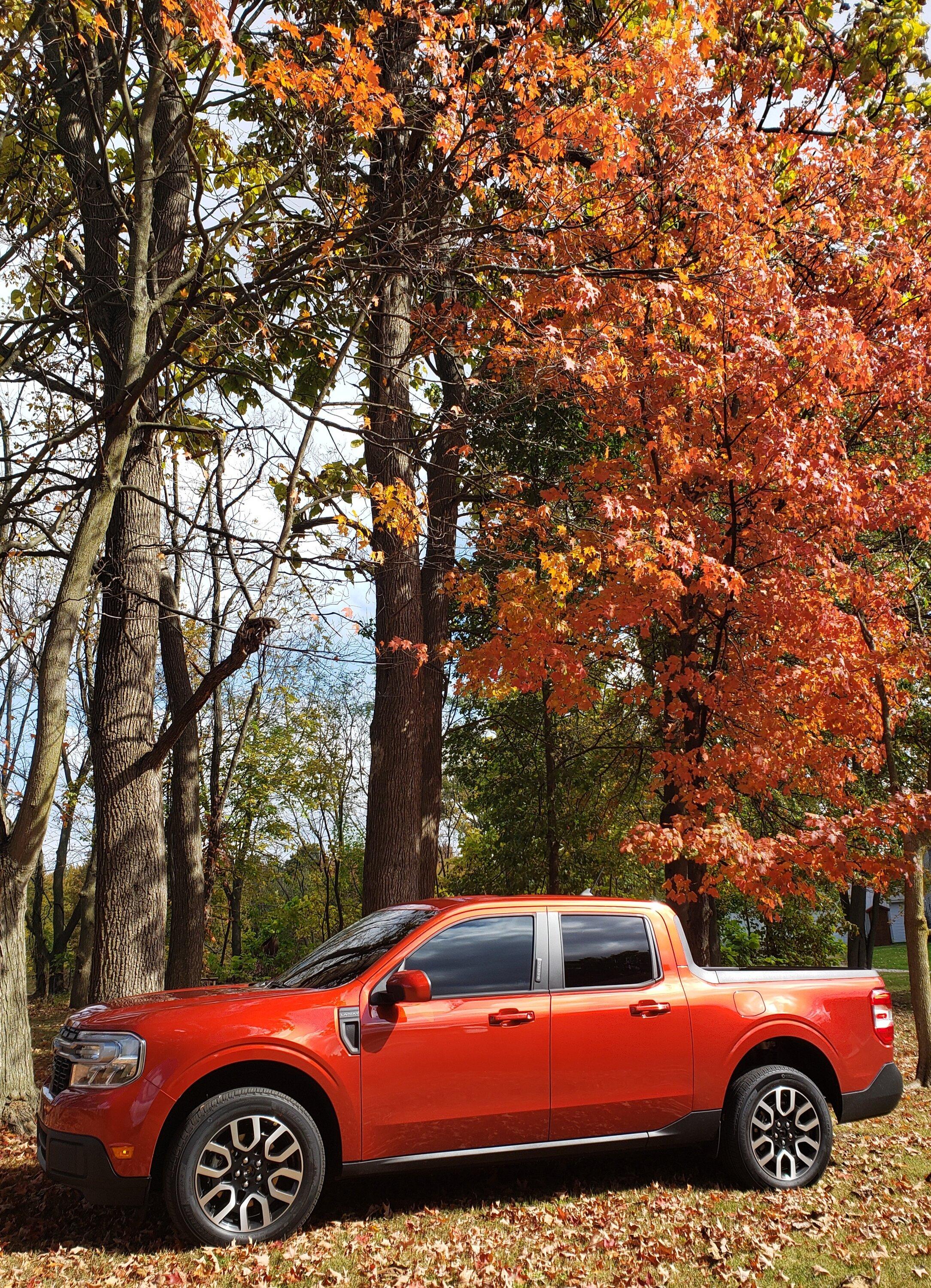 Ford Maverick Fall Pictures 20231018_131020