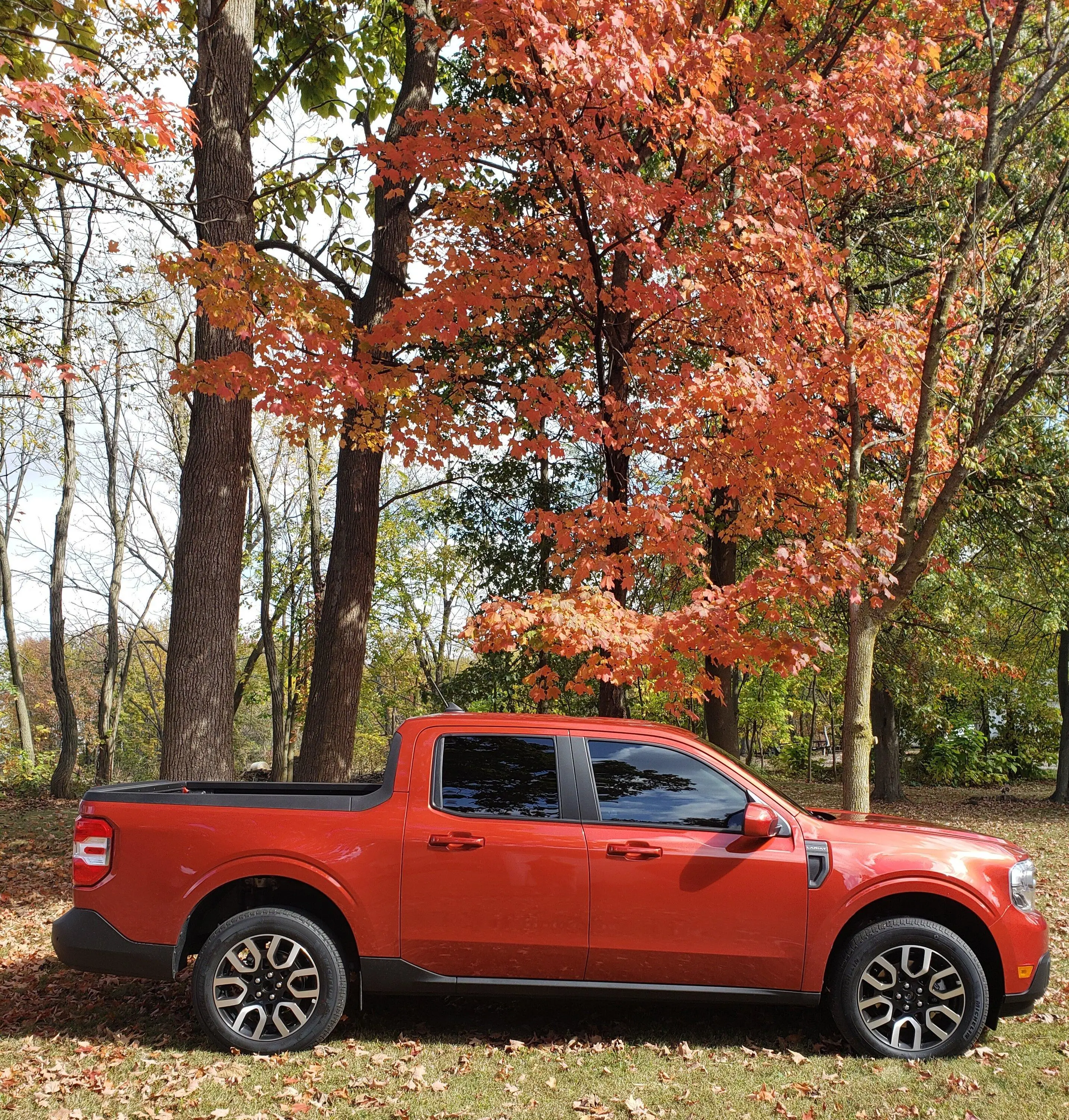 Ford Maverick Fall Pictures 20231018_131237