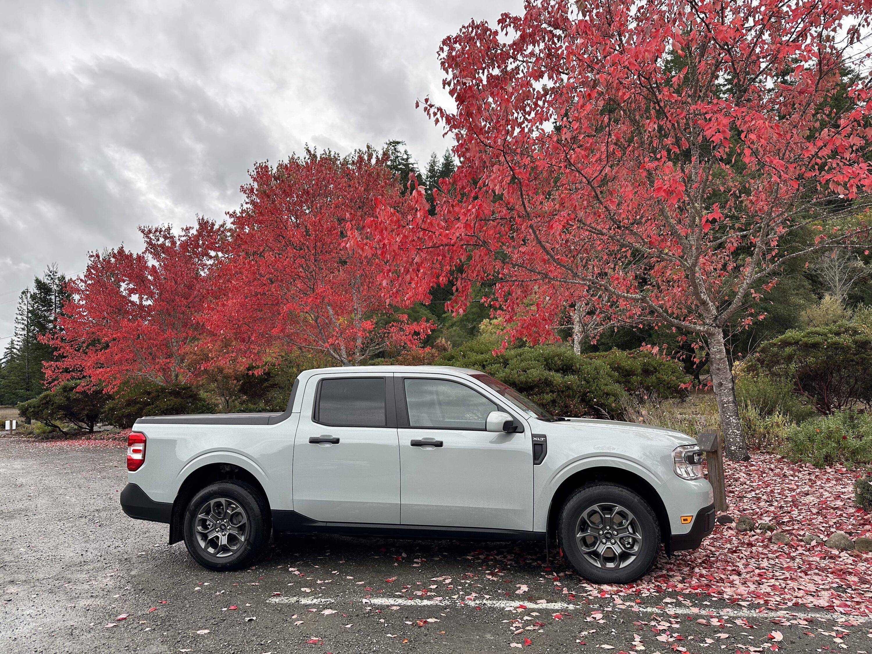 Ford Maverick Fall Pictures IMG_2926