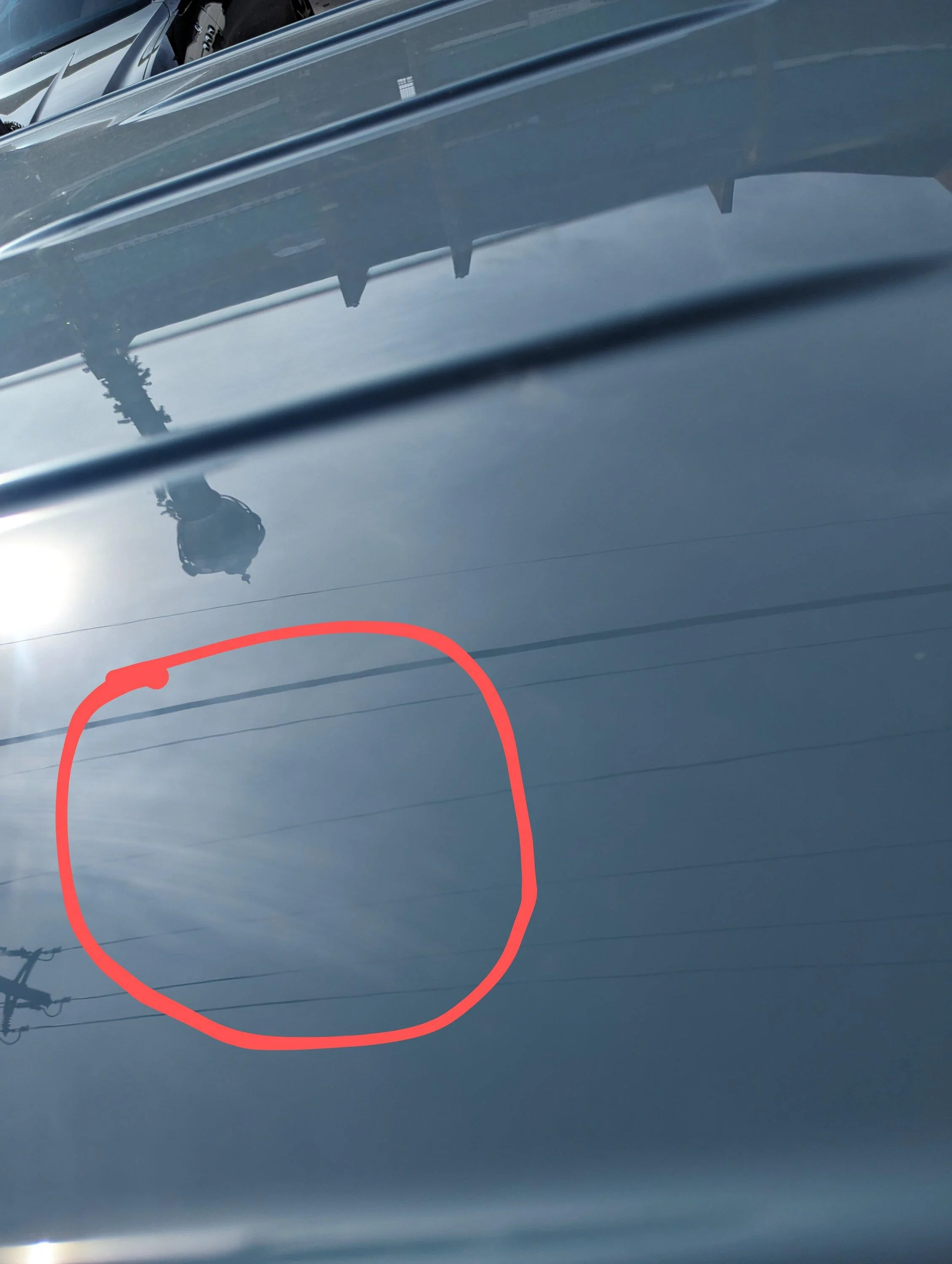 Ford Maverick Hit by a Pigeon 1000006086