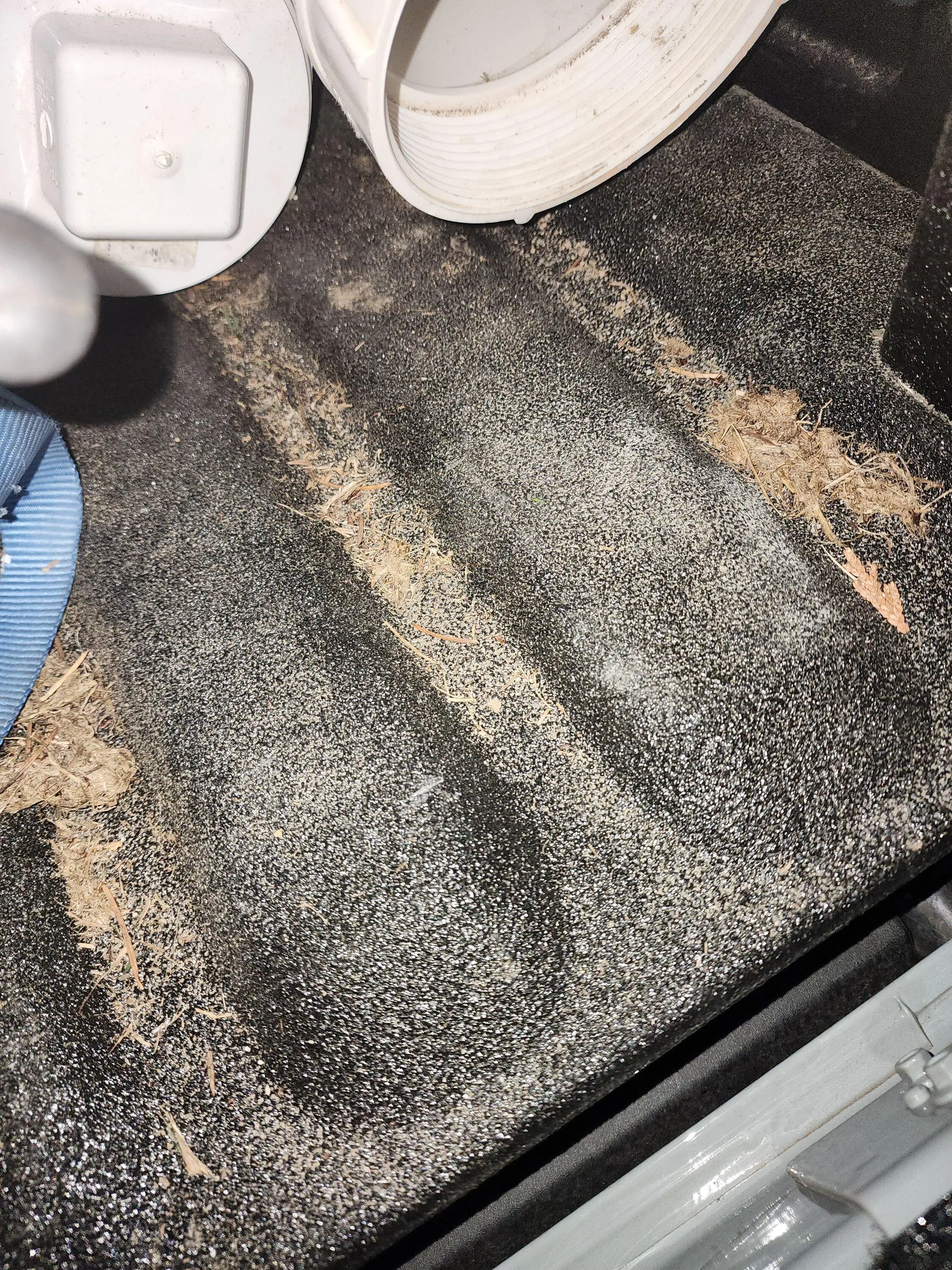 Ford Maverick Rhino or Line - X bedliner? 20231121_164354