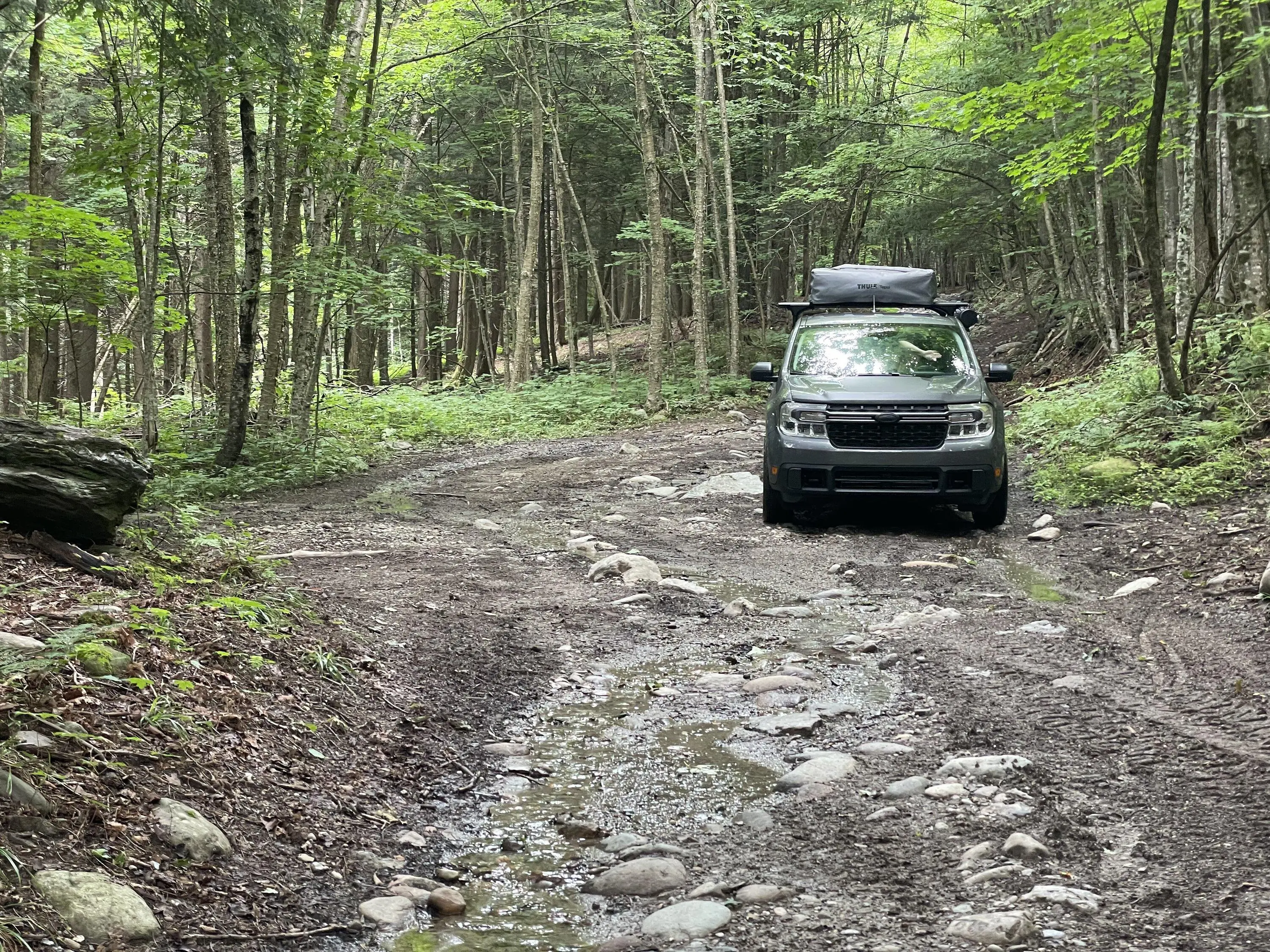 Ford Maverick Maverick adventure photos IMG_7178