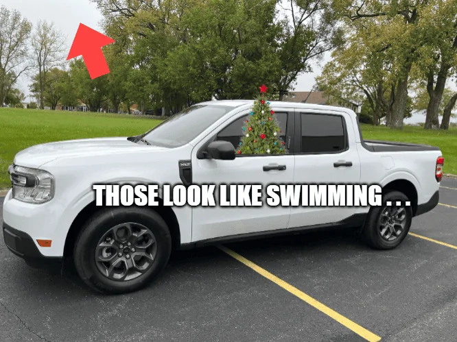 Ford Maverick Maverick Memes -  fun diversion while we wait [ ** NO POLITICS ** ] download - 2023-12-12T193257.038