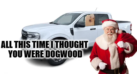 Ford Maverick Maverick Memes -  fun diversion while we wait [ ** NO POLITICS ** ] 1-download - 2023-12-12T205050.653
