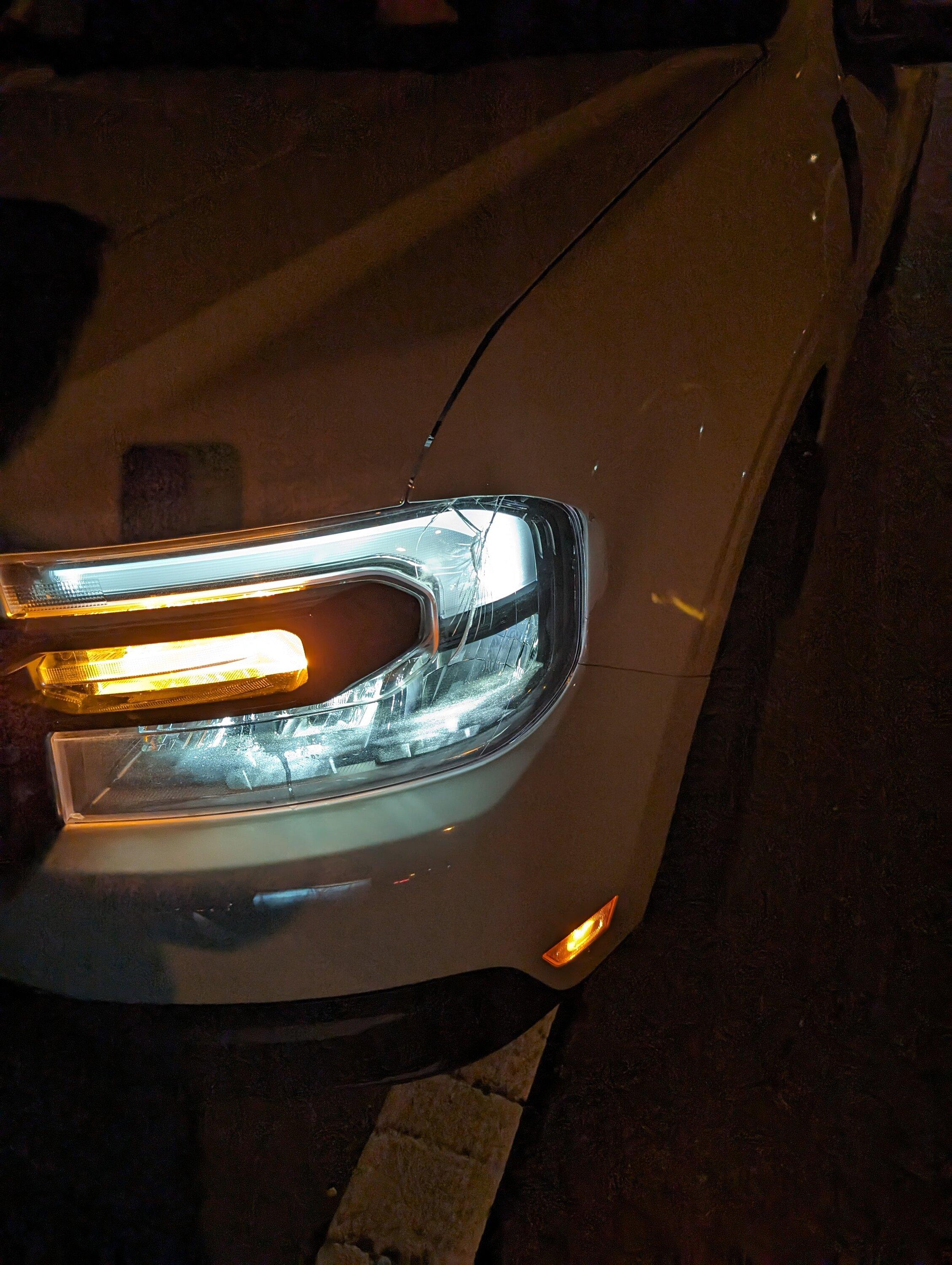Ford Maverick 454 miles on the odometer & then...oh deer PXL_20231216_052527000