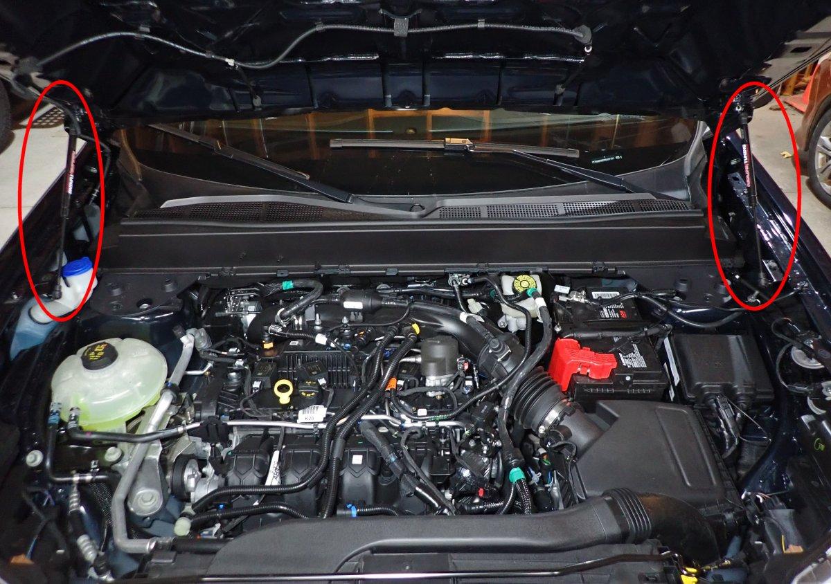Ford Maverick Looking for recommendations hood struts
