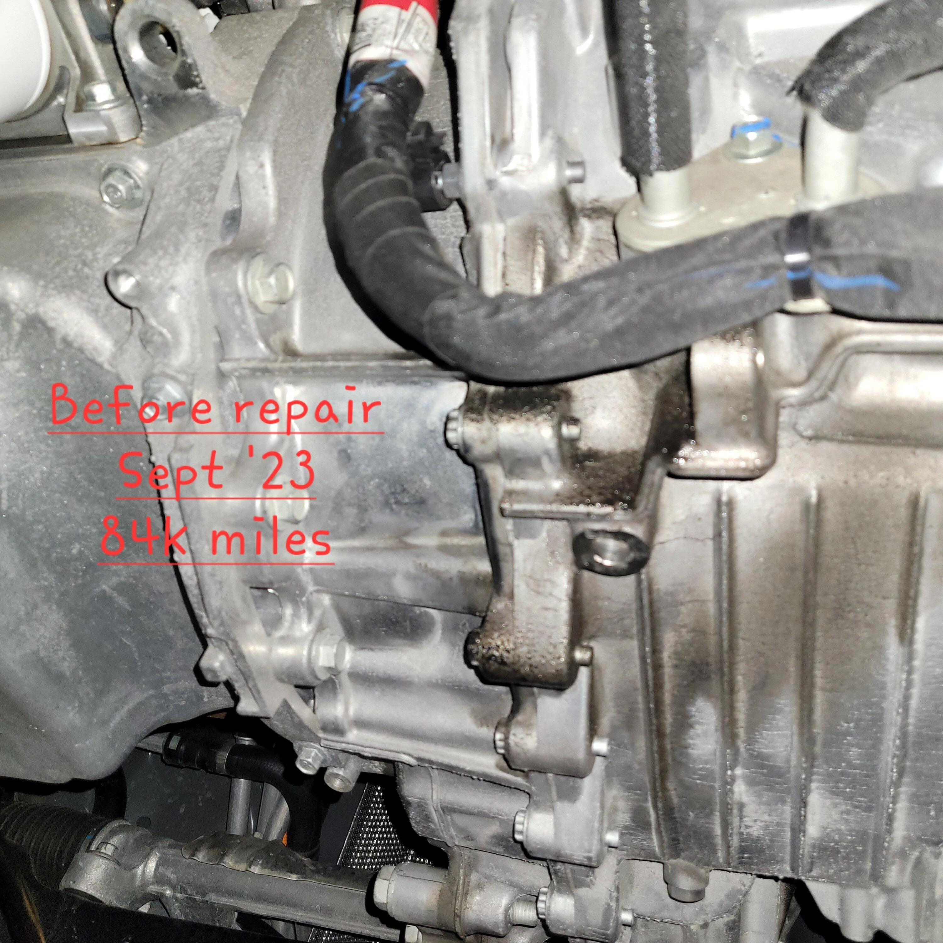 20230727_202313.webp