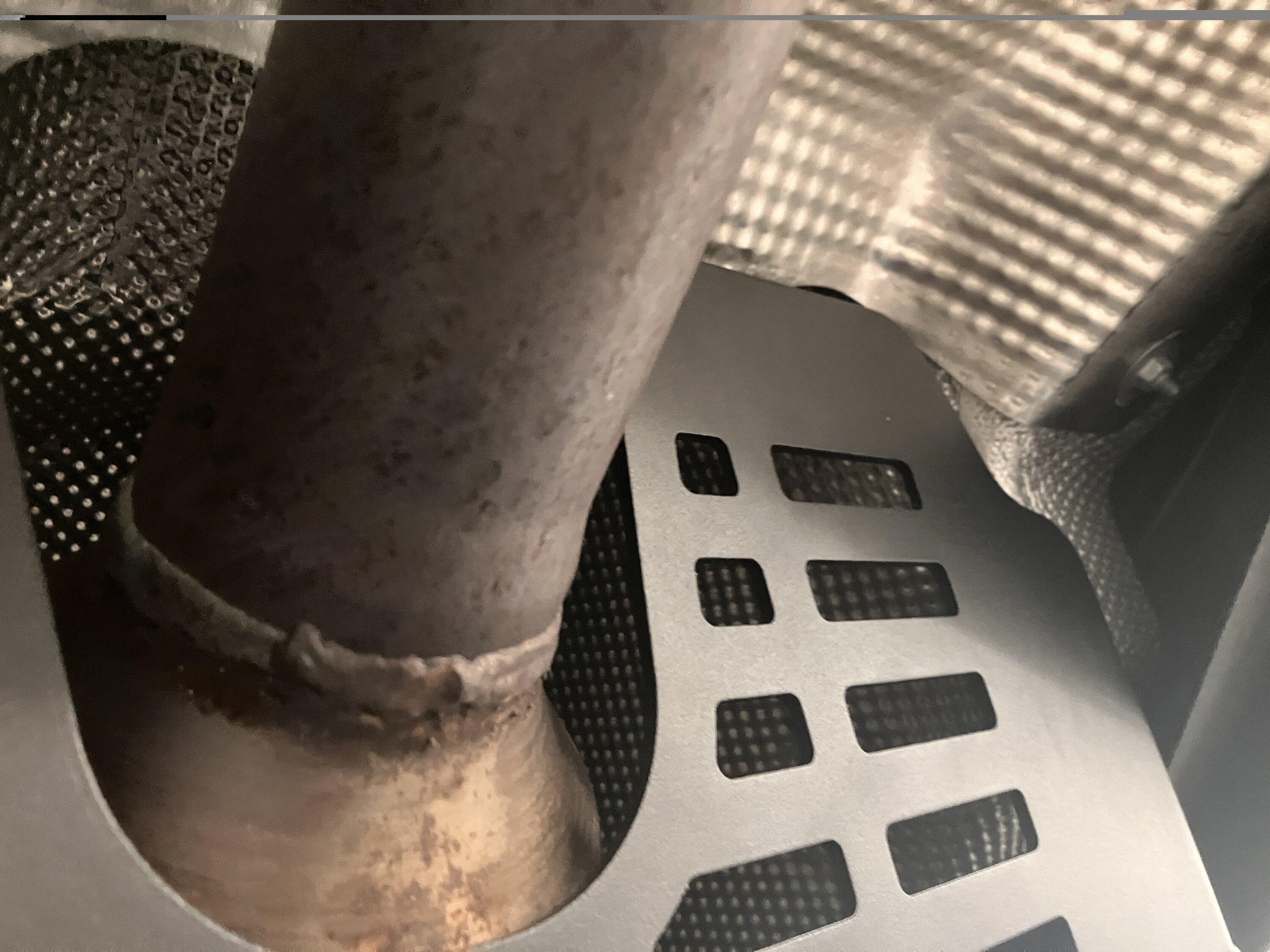 IMG_1508.jpg