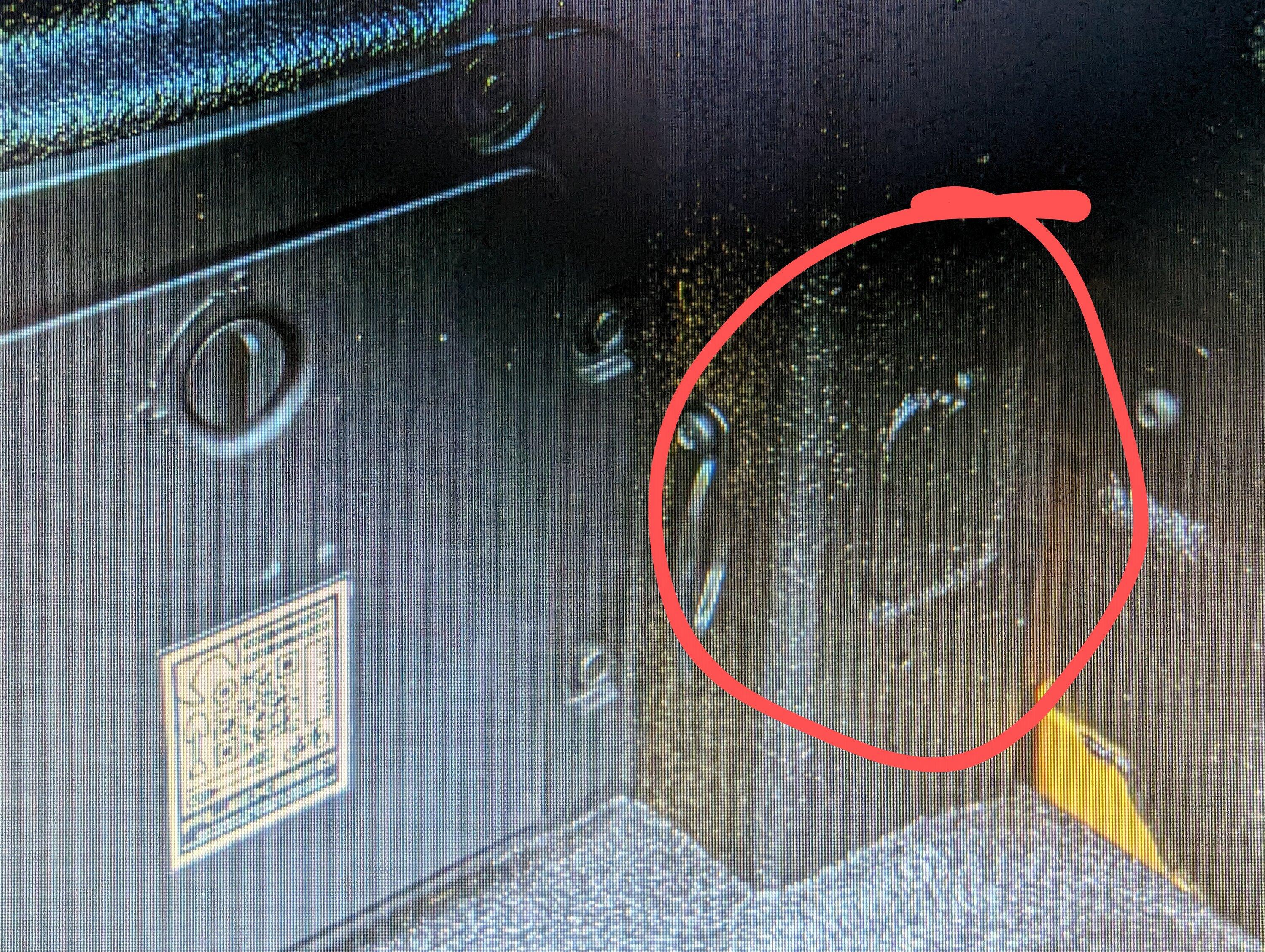 Ford Maverick Today was spray-in Bedliner day port
