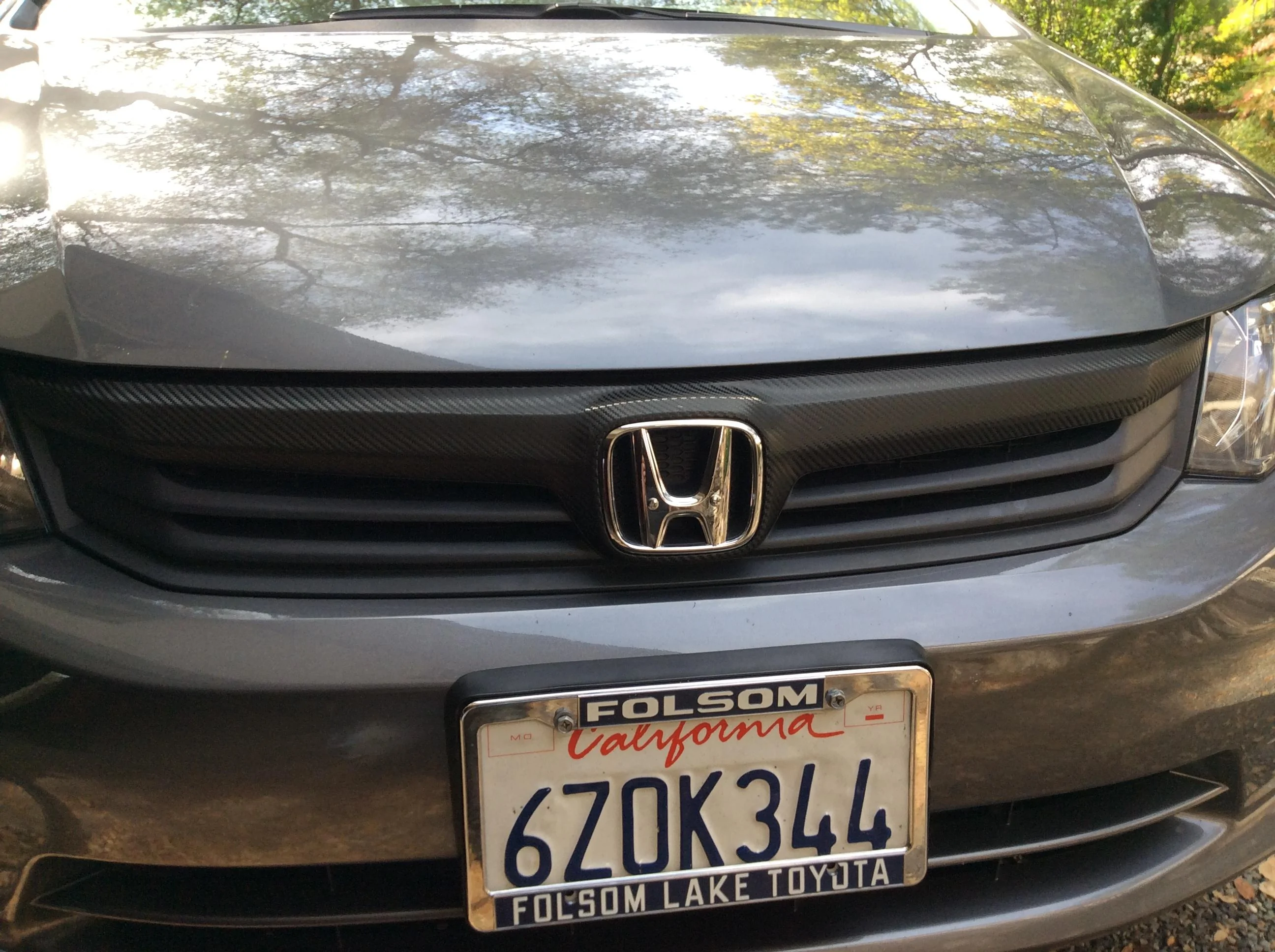 Ford Maverick Grill bar paint gone bad 7C28AA46-B09C-4C37-A853-0C819A6373E3