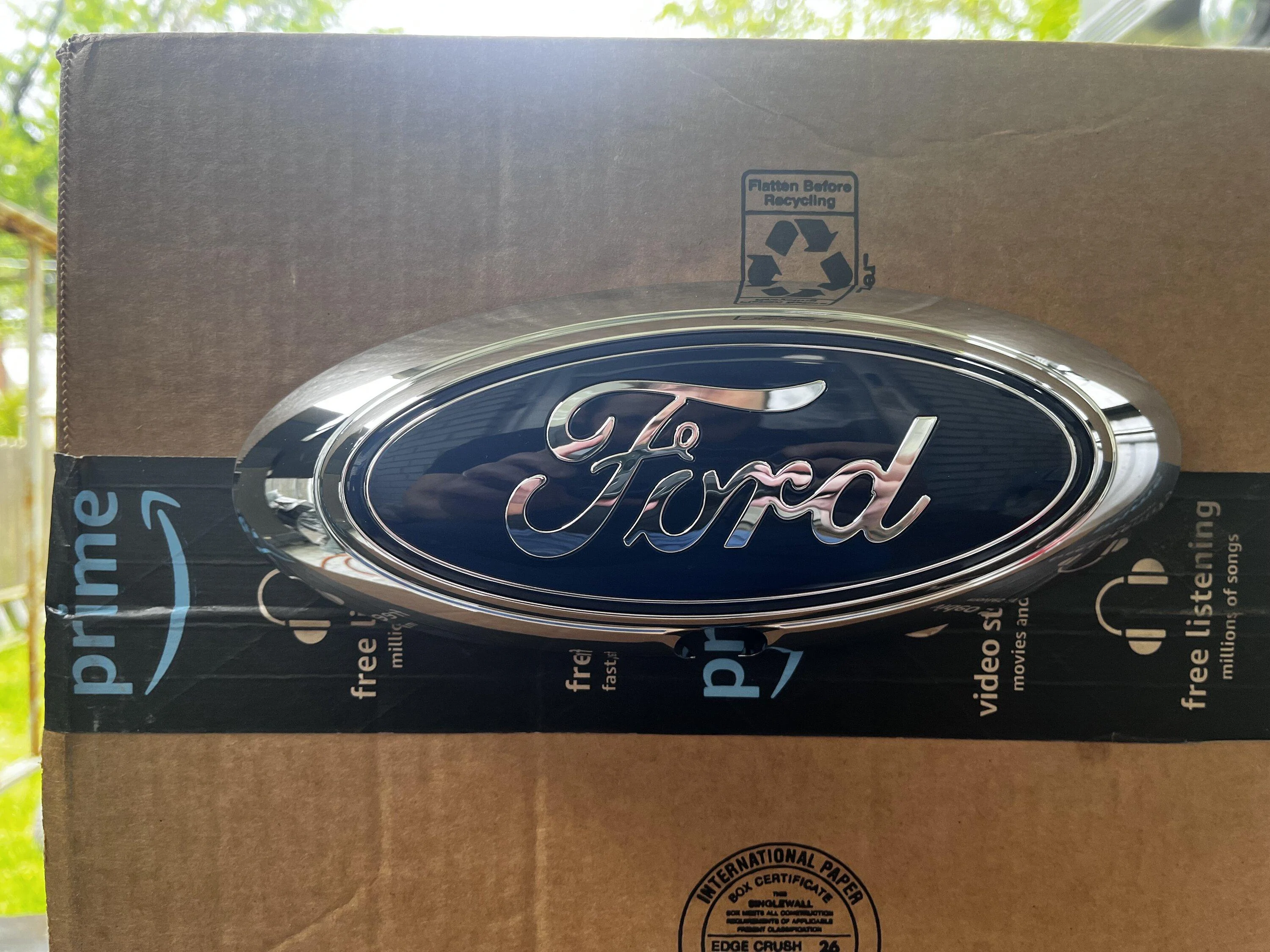 Ford Maverick Smoke Plasti Dip for Emblems IMG_0323