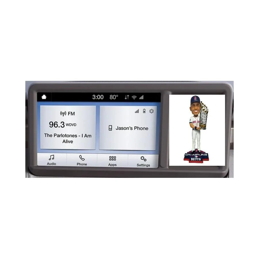 Ford Maverick Creative Ideas for Dash Cubby Storage Screenshot_20210817-145223_Chrom
