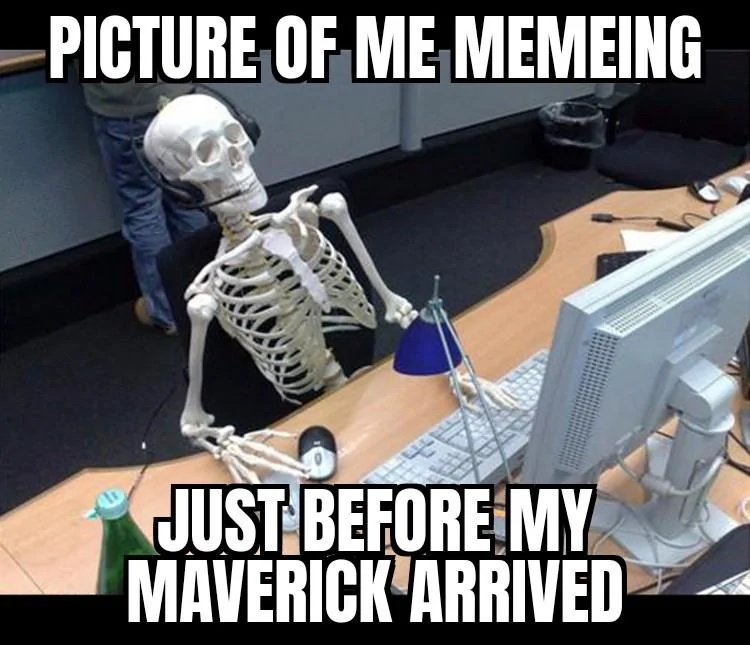 Ford Maverick Maverick Memes -  fun diversion while we wait [ ** NO POLITICS ** ] Waiting skeleton 31102021173528