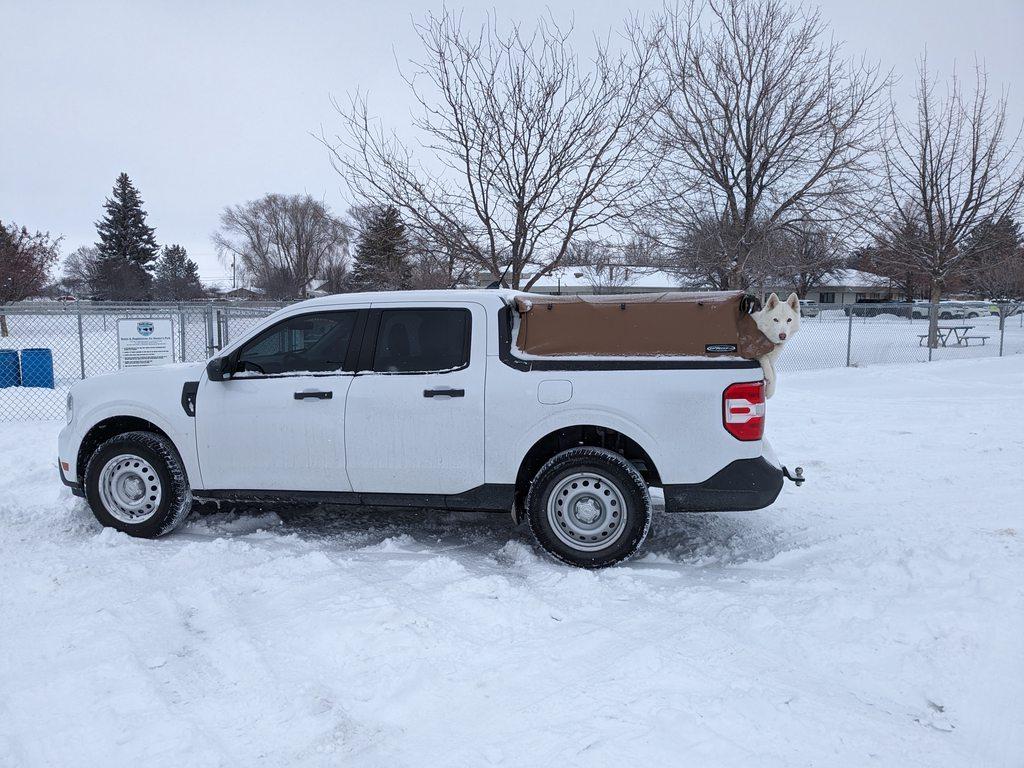 Ford Maverick Mavericks In/Under Snow - Post Your Pics! HkjHYaWh