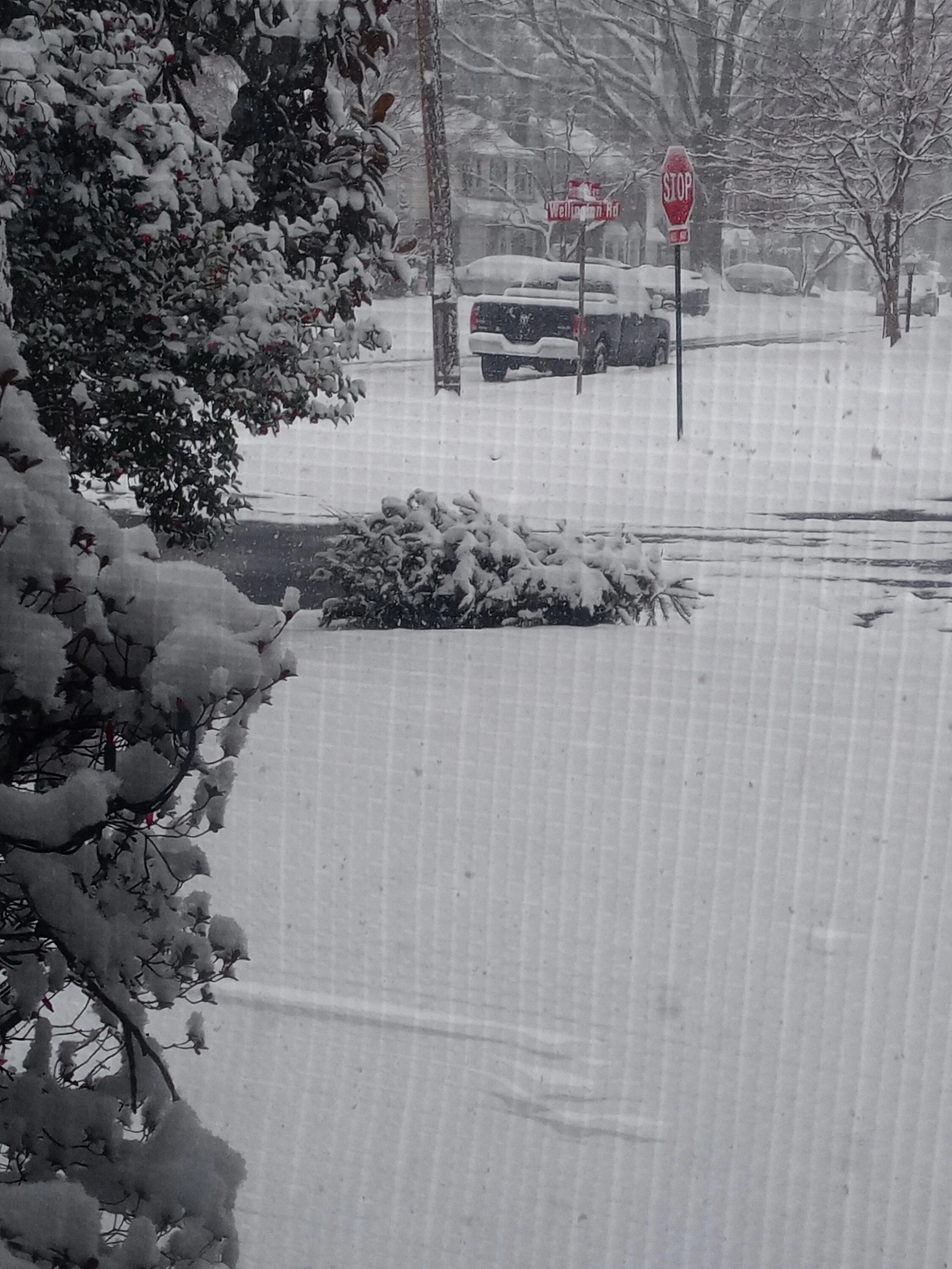 Ford Maverick Mavericks In/Under Snow - Post Your Pics! 20240119_125001