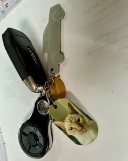 Ford Maverick What's on your Maverick keys / keychain? KEYS