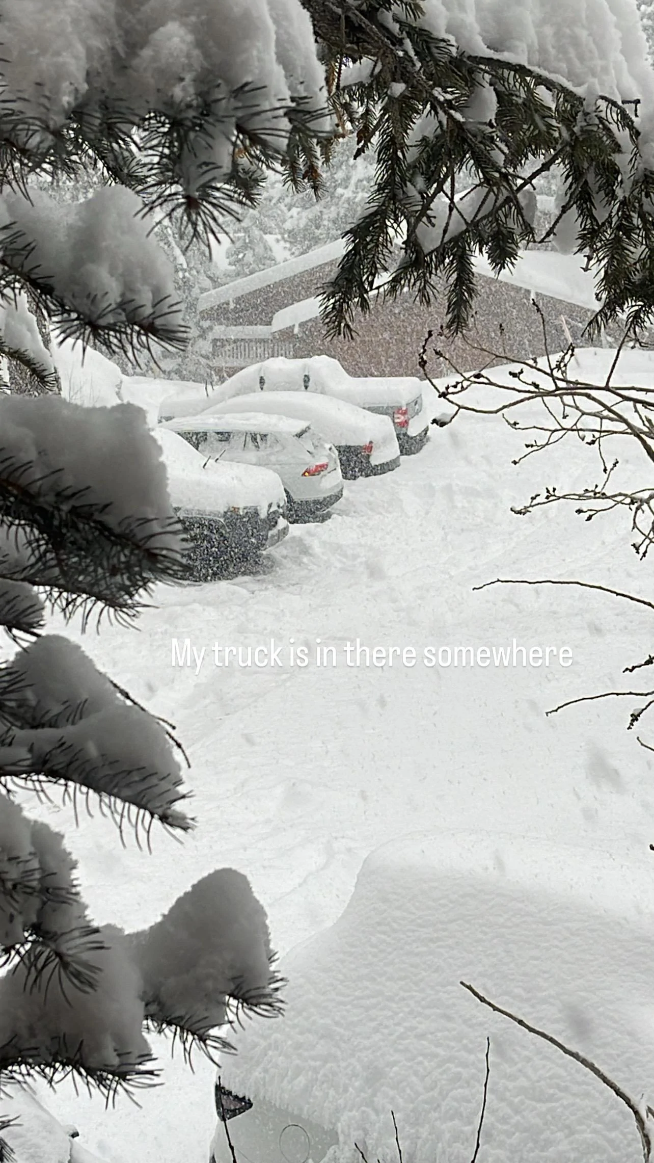 Ford Maverick Maverick Hybrid vs. Snow Storm 0ED16F5A-B21E-4FB9-803F-337934568F0B