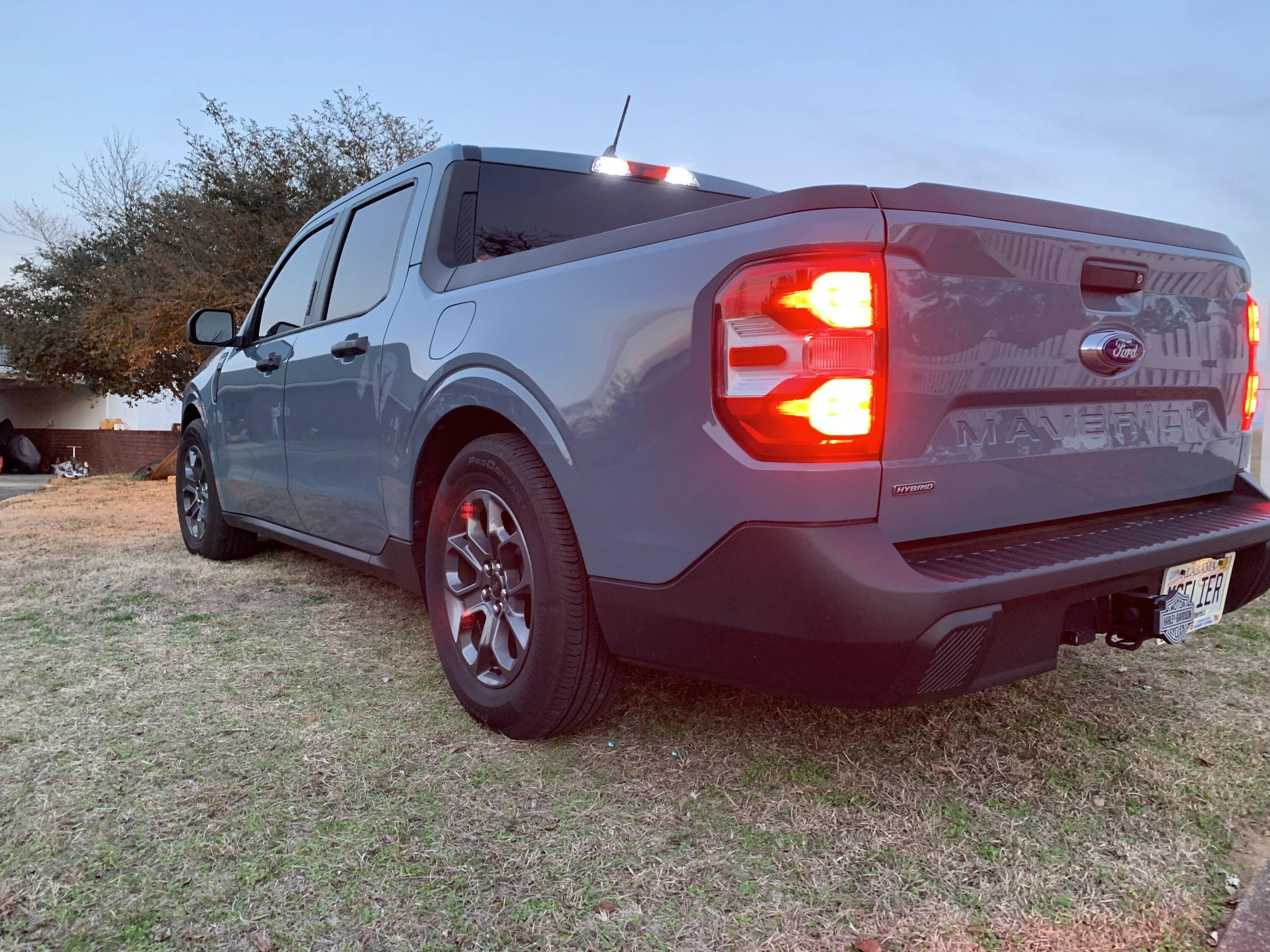 IMG_9842.webp