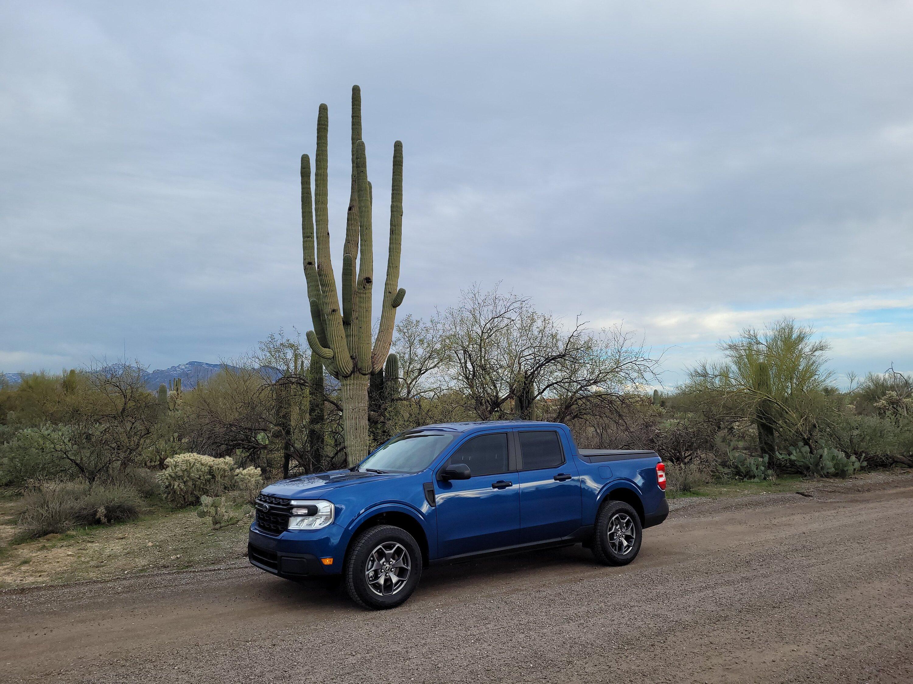 Ford Maverick ATLAS BLUE Maverick Photos Thread 20240209_163912_001