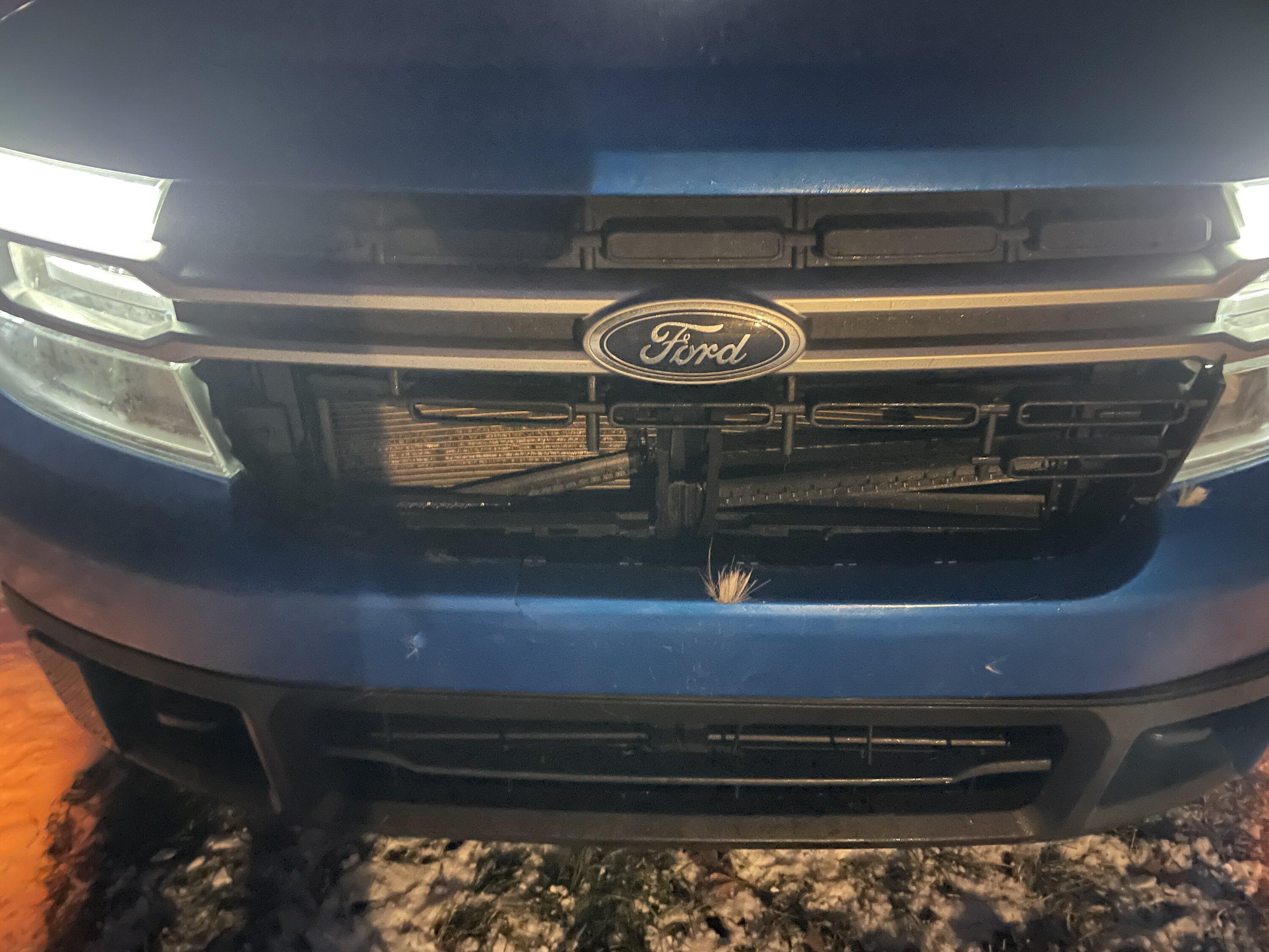 Ford Maverick Deer collision damage results in $6k repair. Insurance lessons learned IMG_3833.JPG