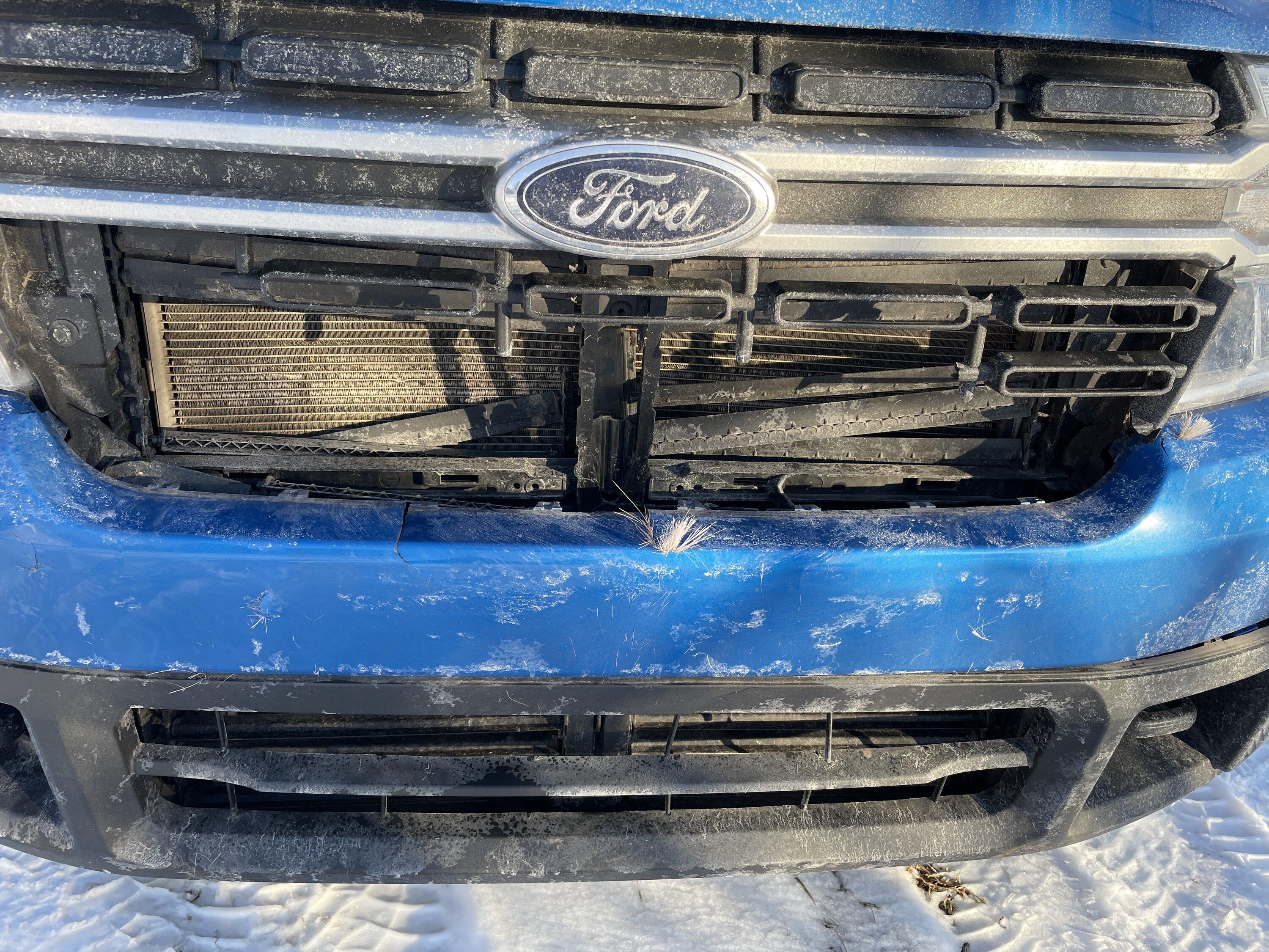 Ford Maverick Deer collision damage results in $6k repair. Insurance lessons learned IMG_3836.JPG