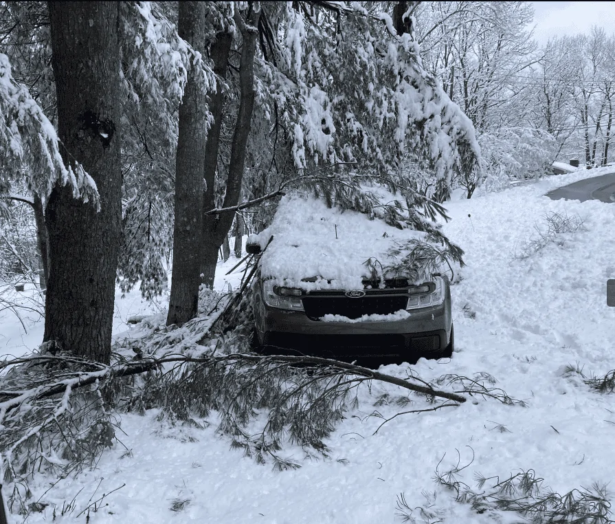 Ford Maverick Mavericks In/Under Snow - Post Your Pics! 1707927152374