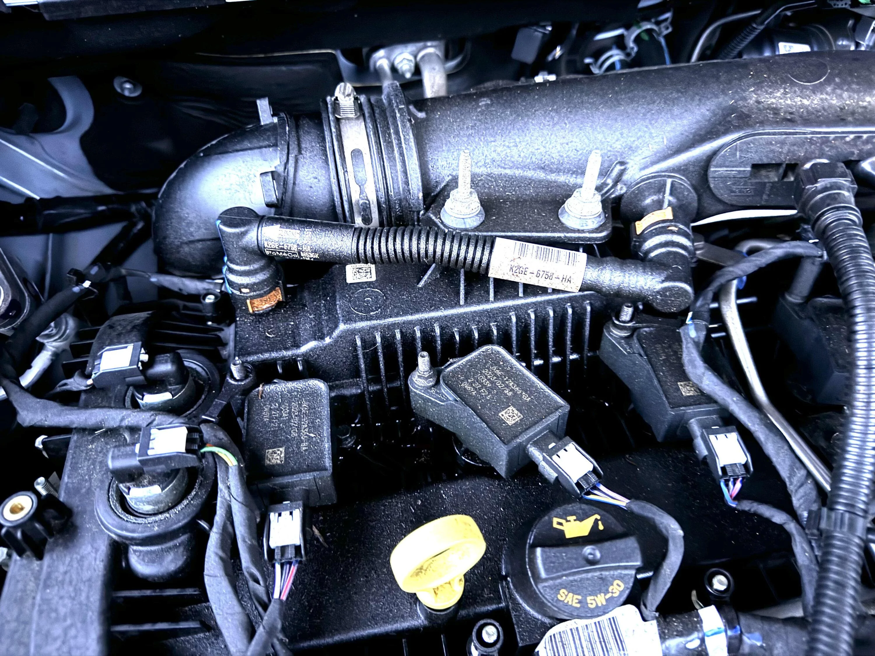 Ford Maverick EcoBoost Top Engine Oil Leak Yellowcake2