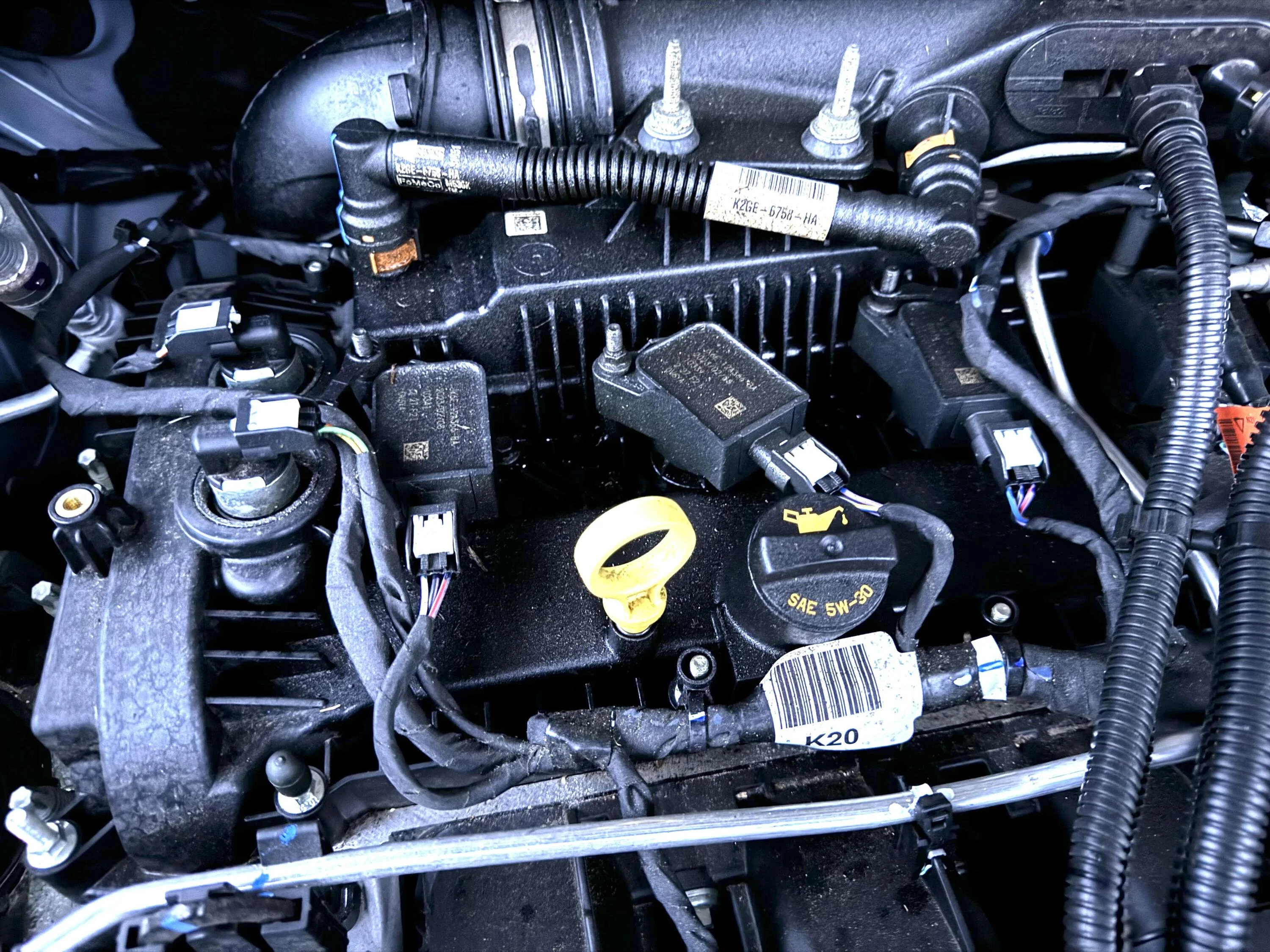 Ford Maverick EcoBoost Top Engine Oil Leak Yellowcake1