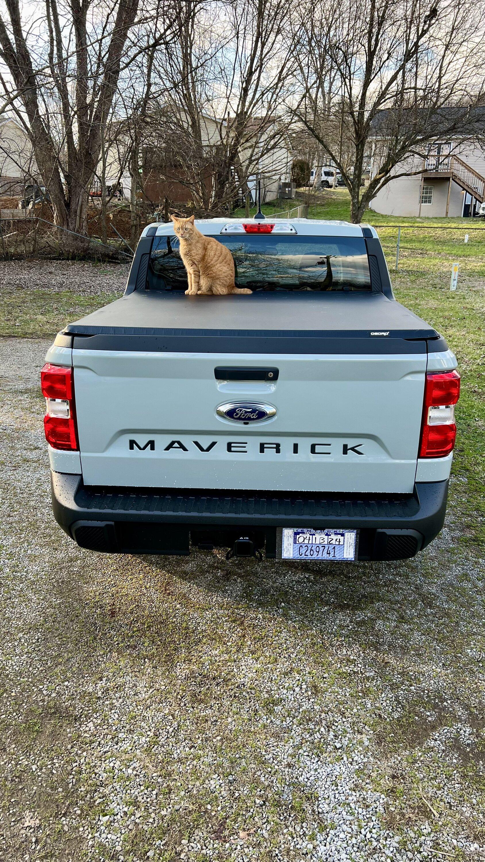 Ford Maverick I took delivery on my birthday, the 13th! FullSizeRender