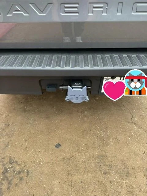 CAT-HITCH.webp