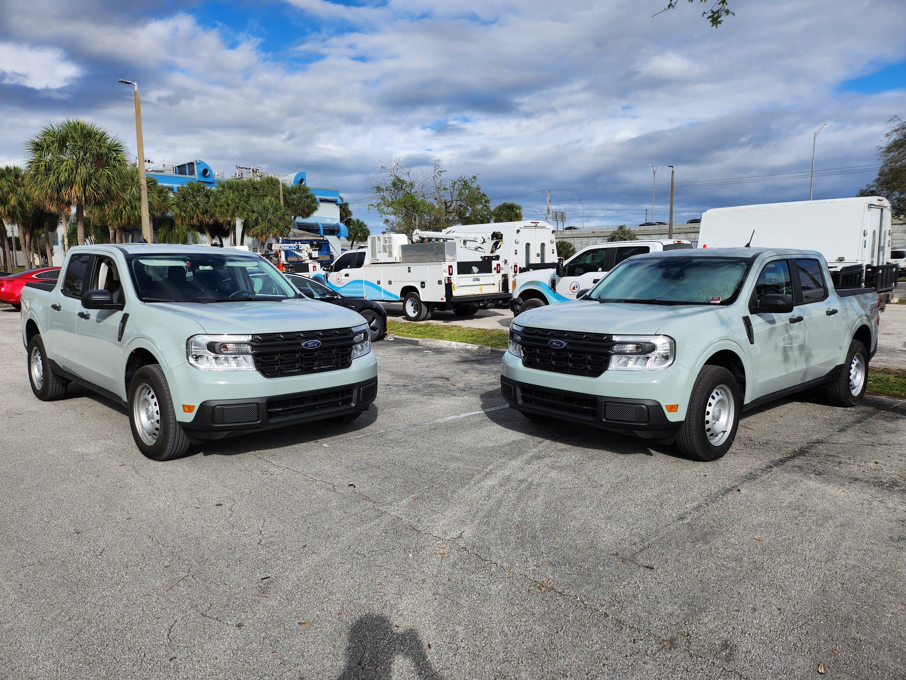 Ford Maverick Turns out to be twins 1000003473