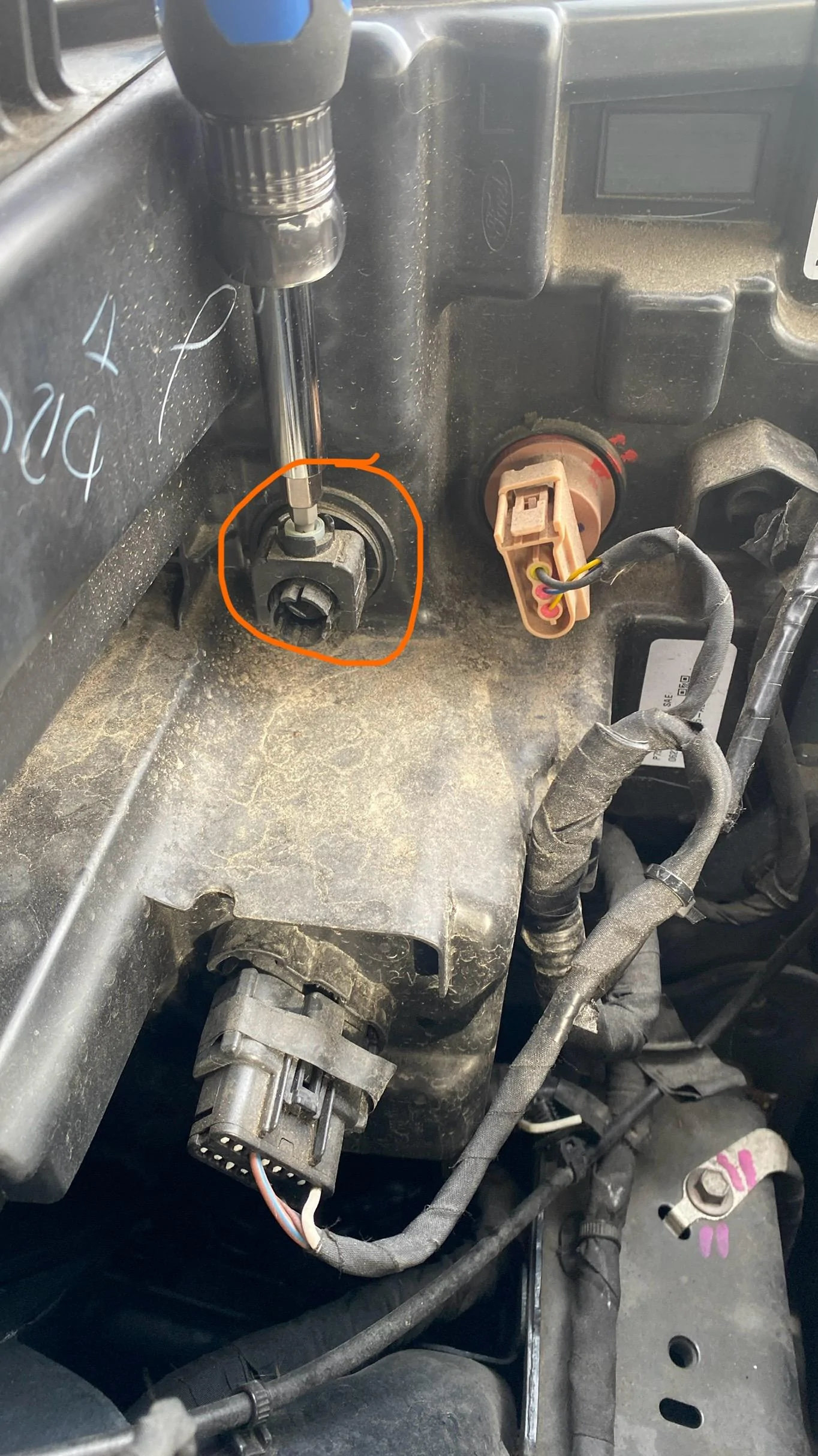 Ford Maverick Maverick Hybrid: Fully Loaded Headlamp Adjustment IMG_9819