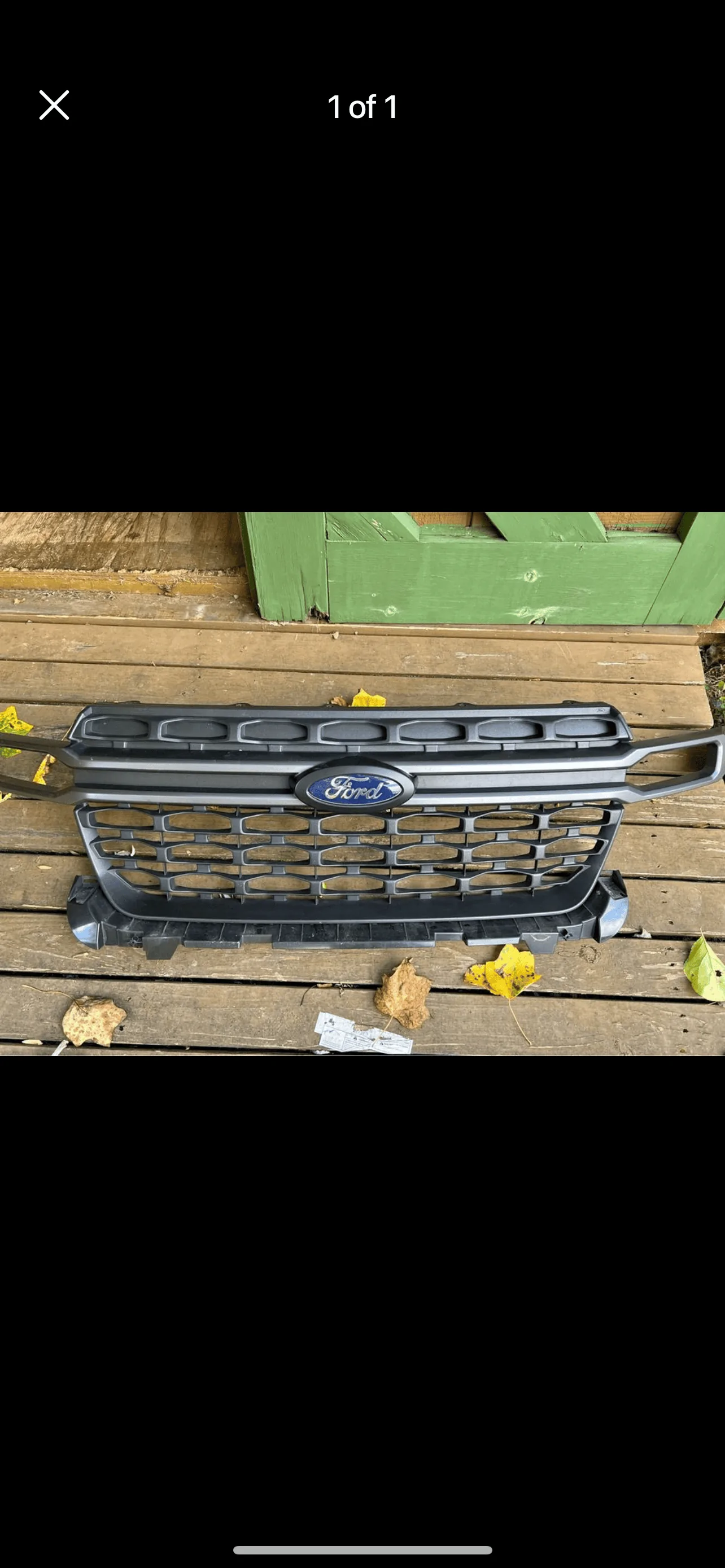 Ford Maverick Maverick Front Grill IMG_3068