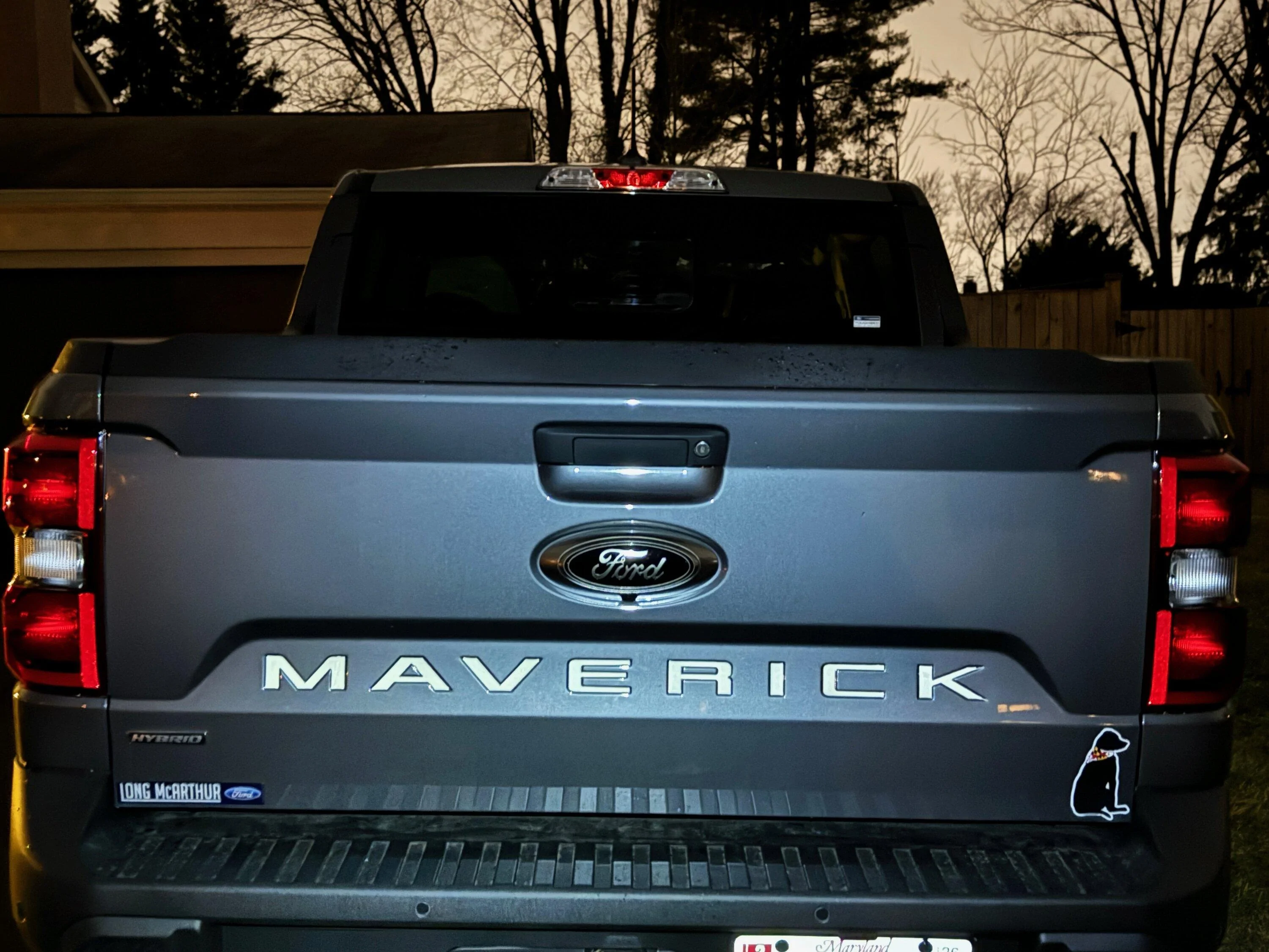 Ford Maverick Tailgate letters recommendations? IMG_0620