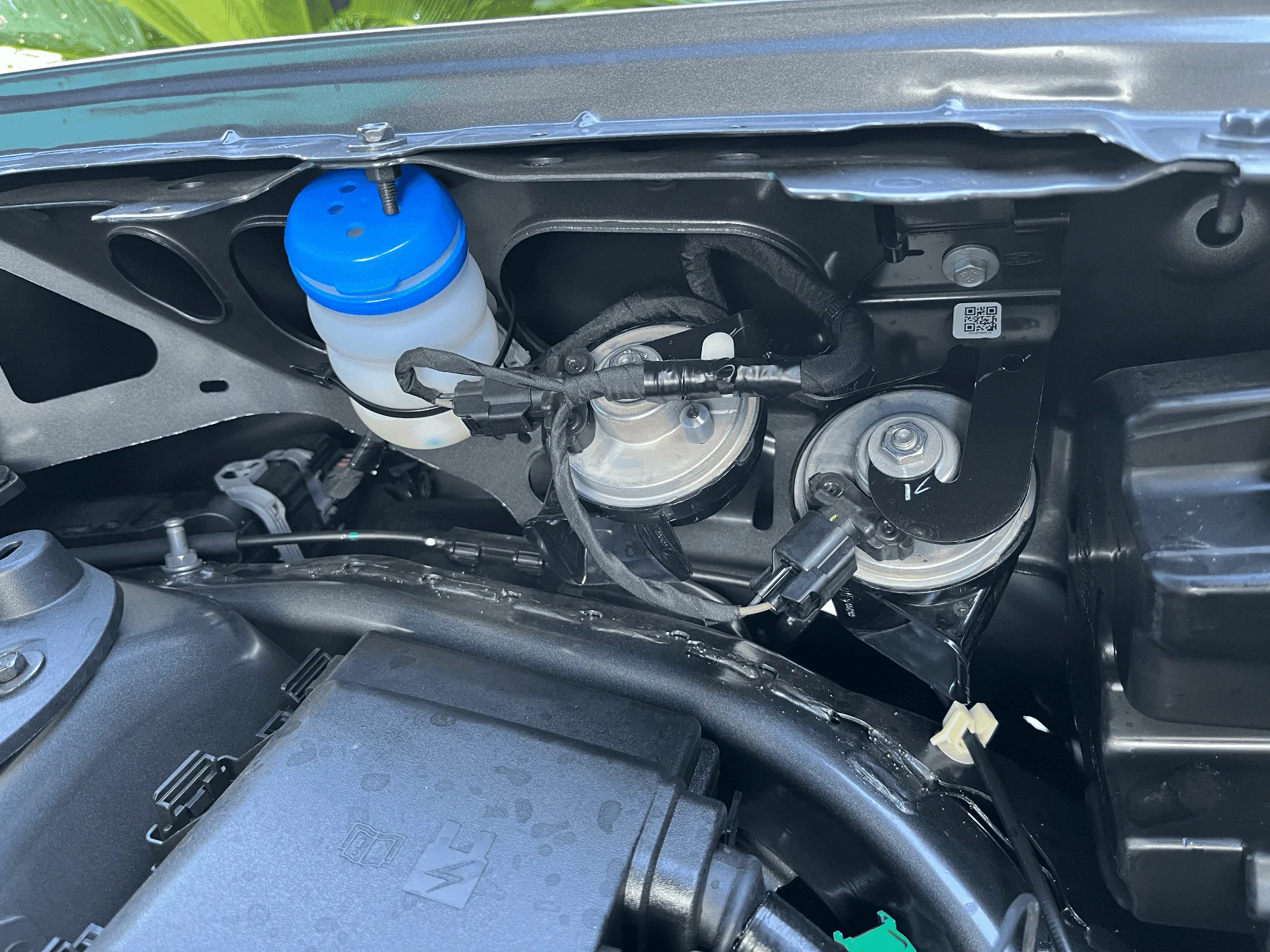 Ford Maverick Fuel line leak IMG_2342